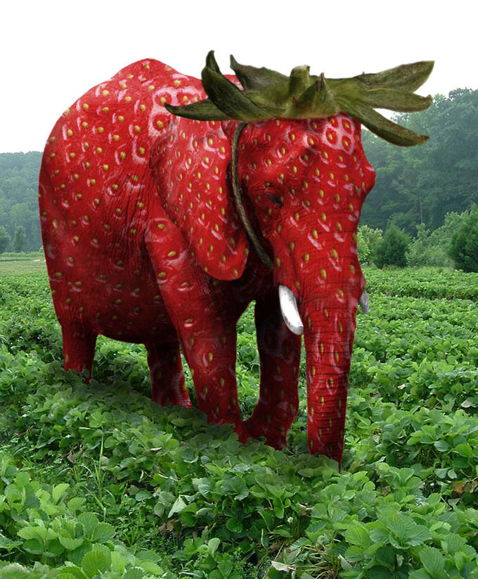 user avatar image for PelonSinPelo