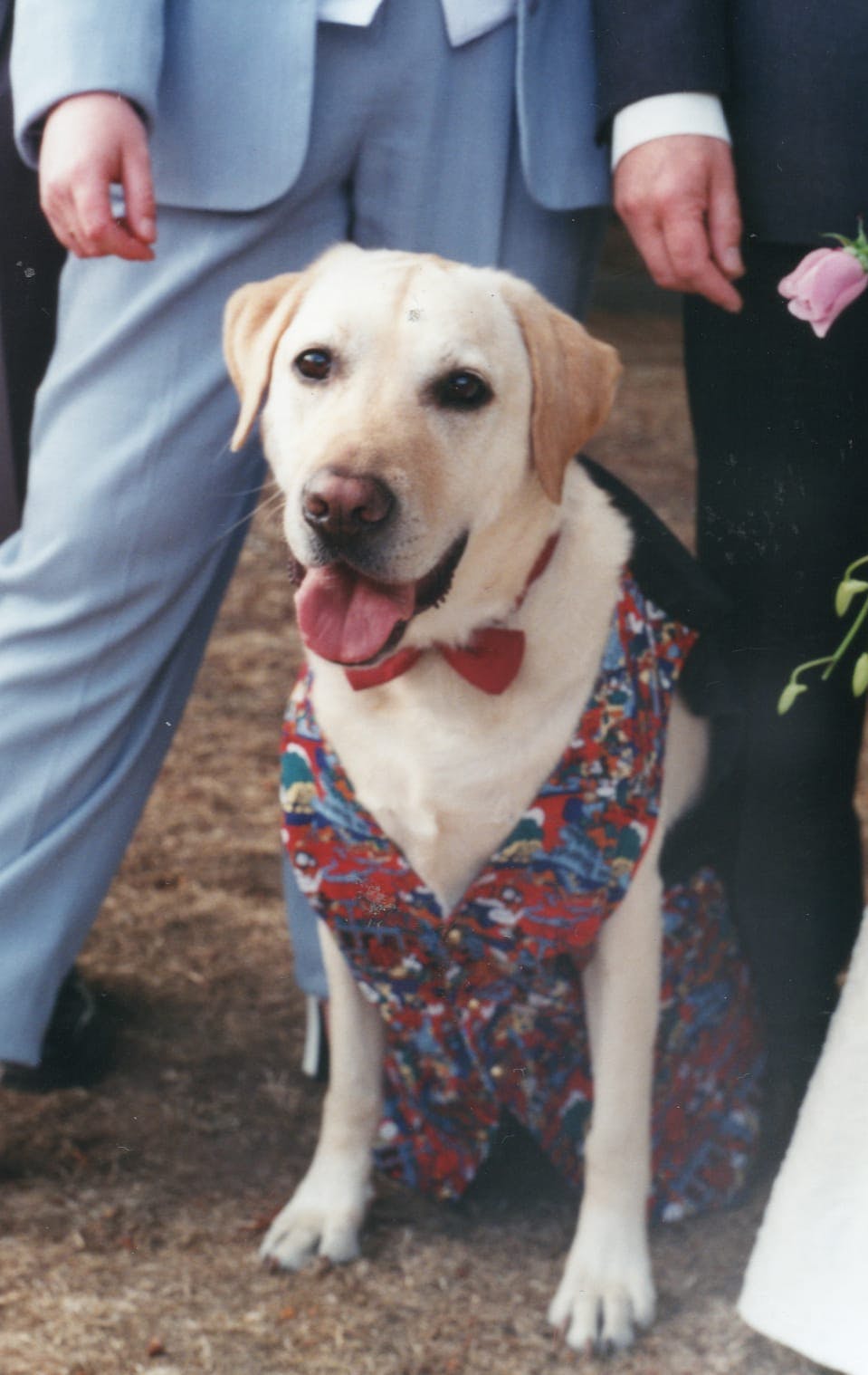 user avatar image for Sarah Sands