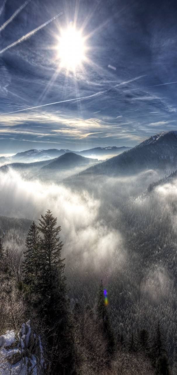 user avatar image for Kerry