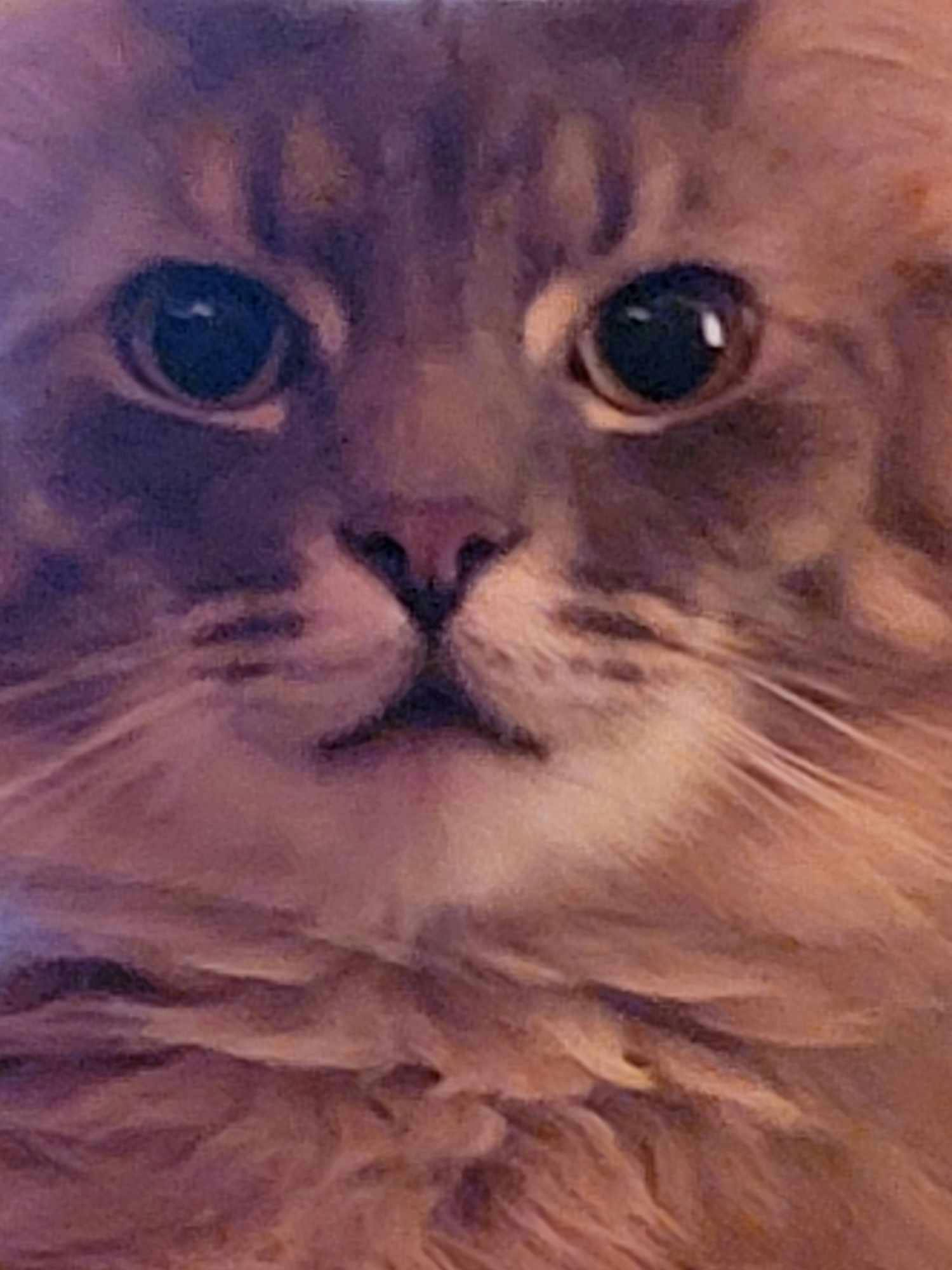 user avatar image for Jack m