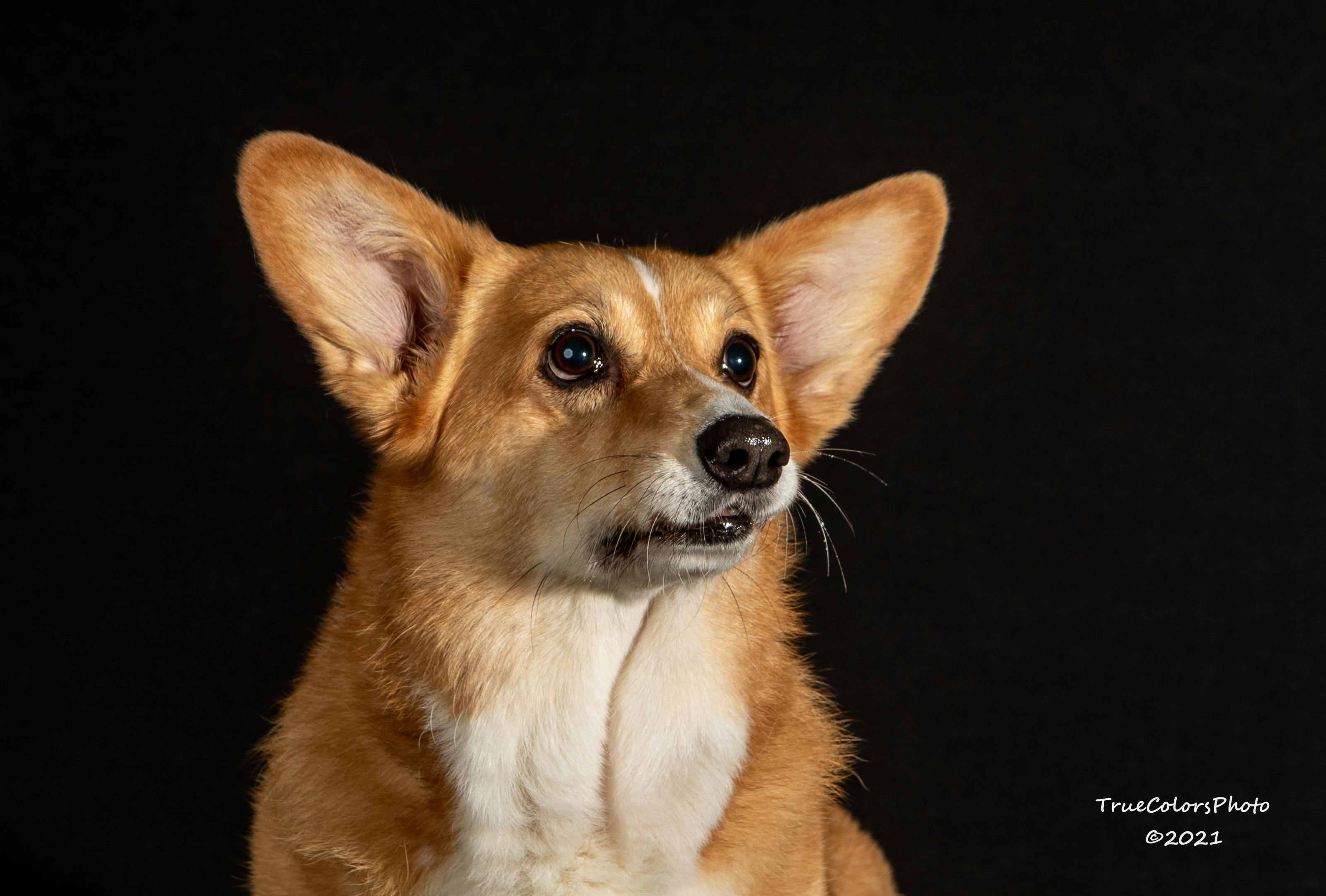 user avatar image for Malarie