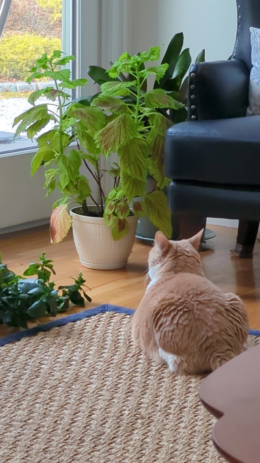 user avatar image for Leggoa