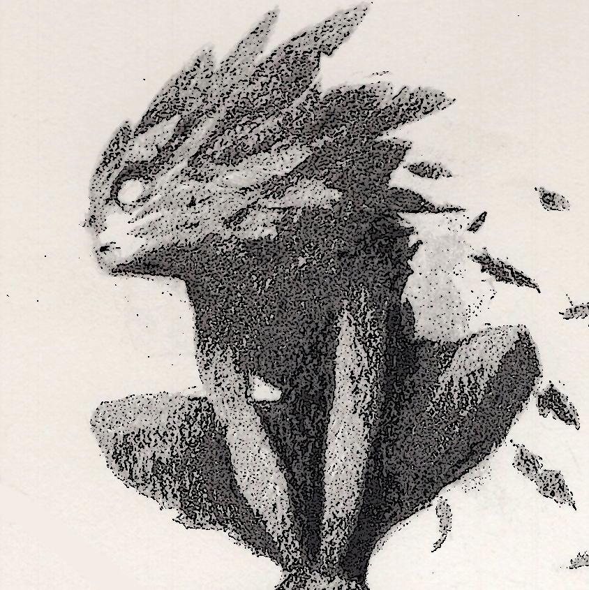 user avatar image for Chimeryus