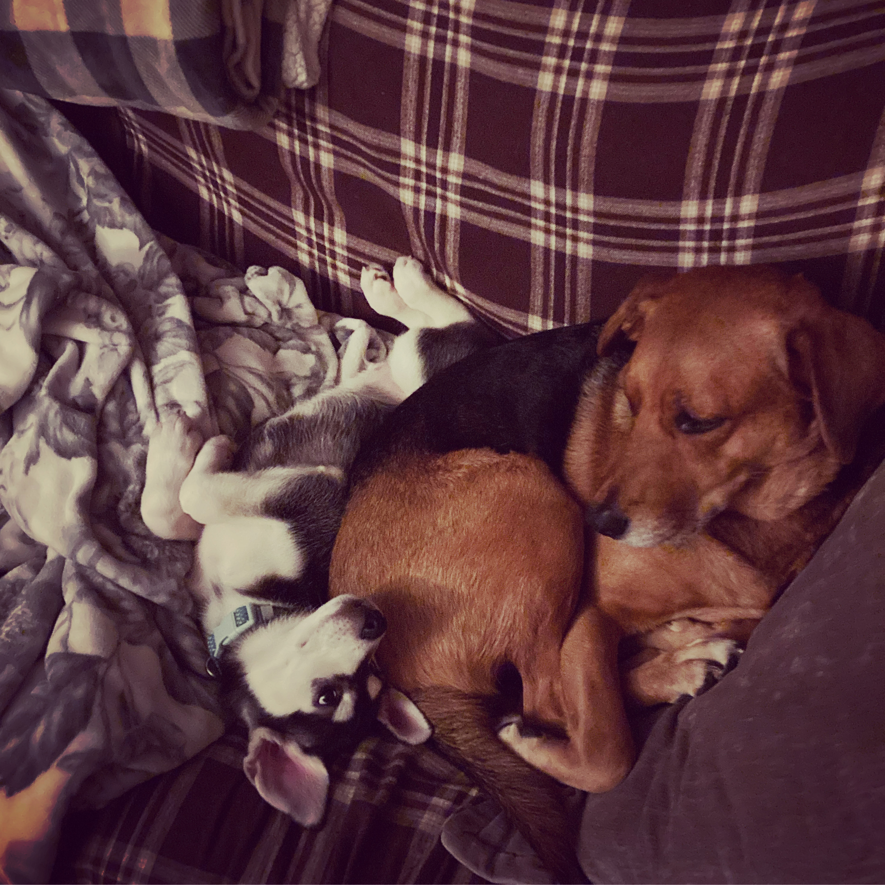 user avatar image for Leslie 