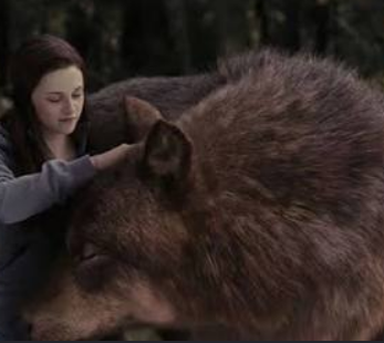 Twilight