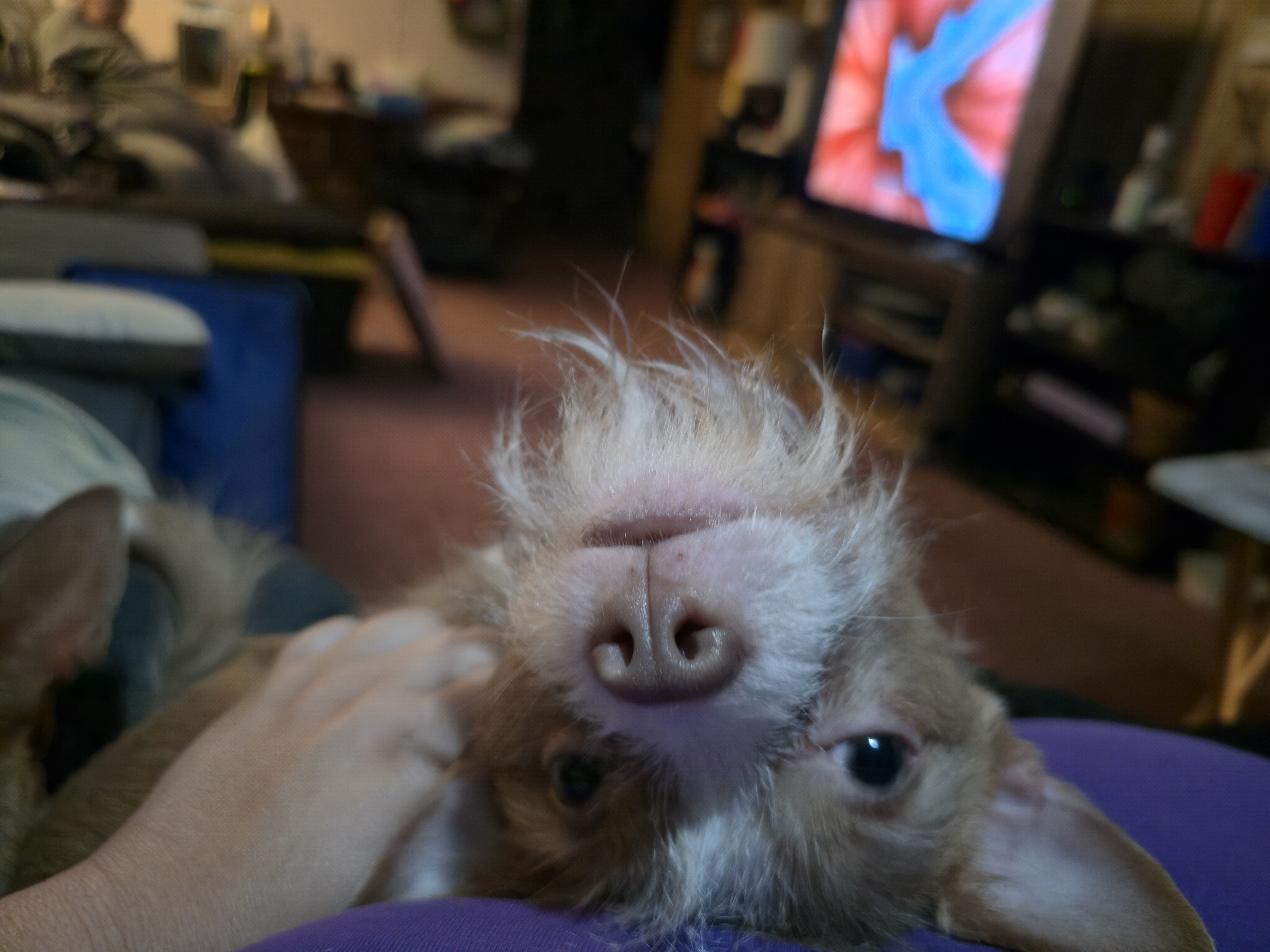 user avatar image for Julia