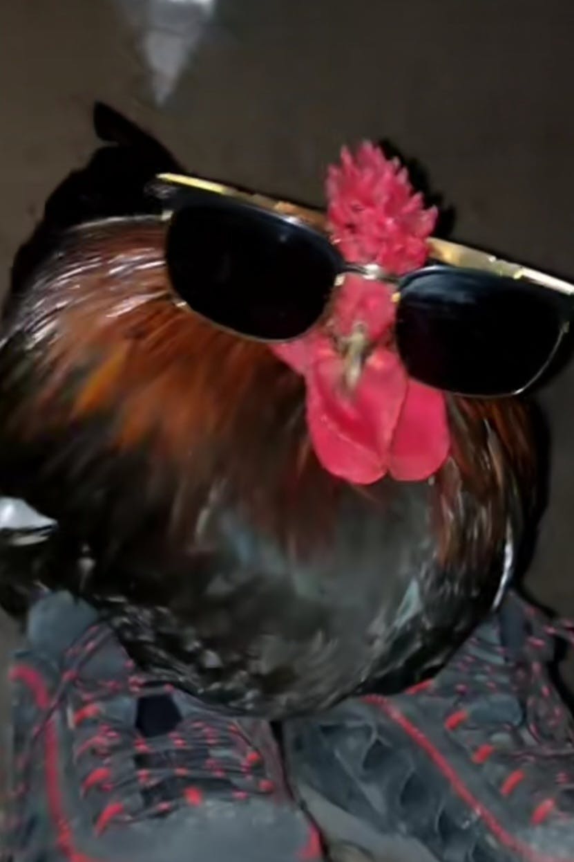 user avatar image for Cameron