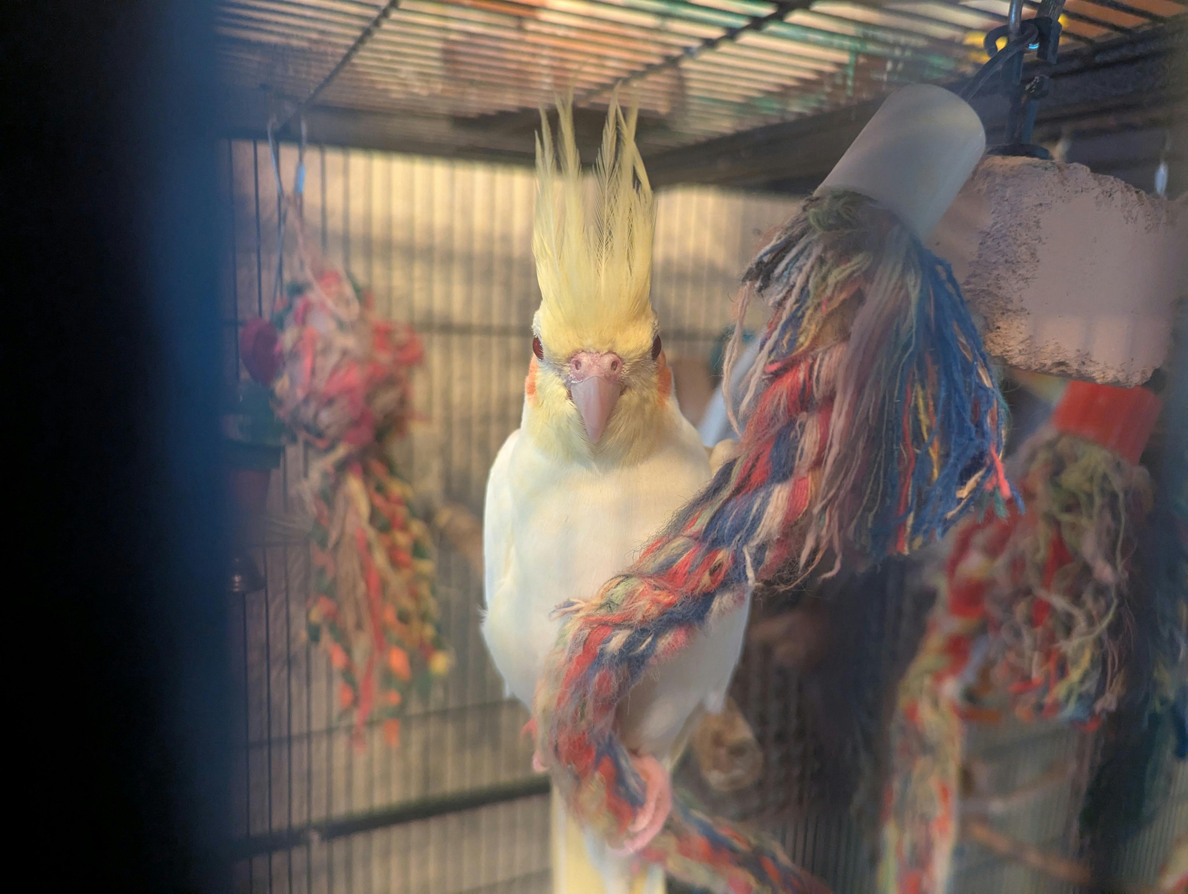 user avatar image for Bduncn