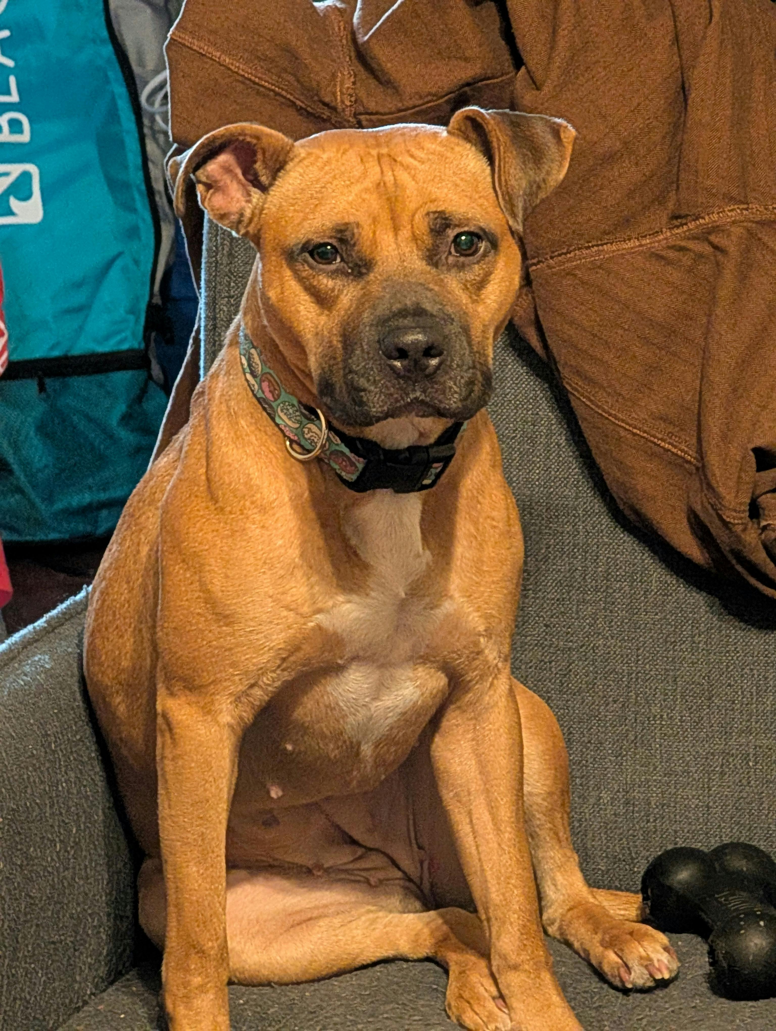 user avatar image for Gylfi Berg