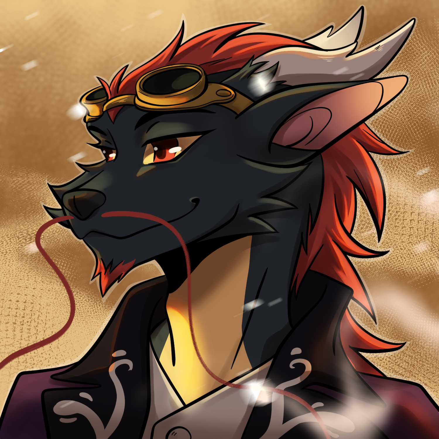 user avatar image for Kusticat