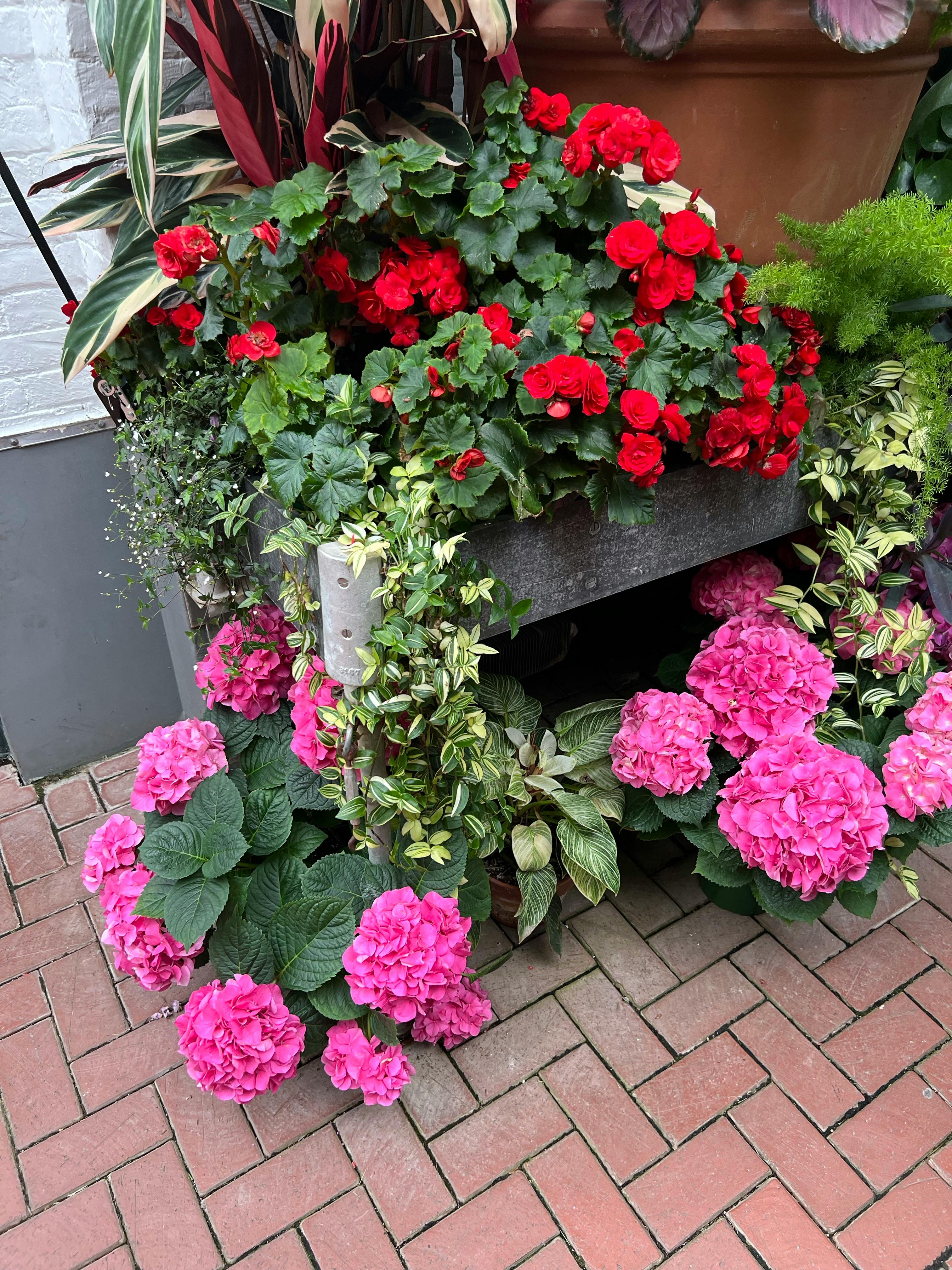 user avatar image for Kiki