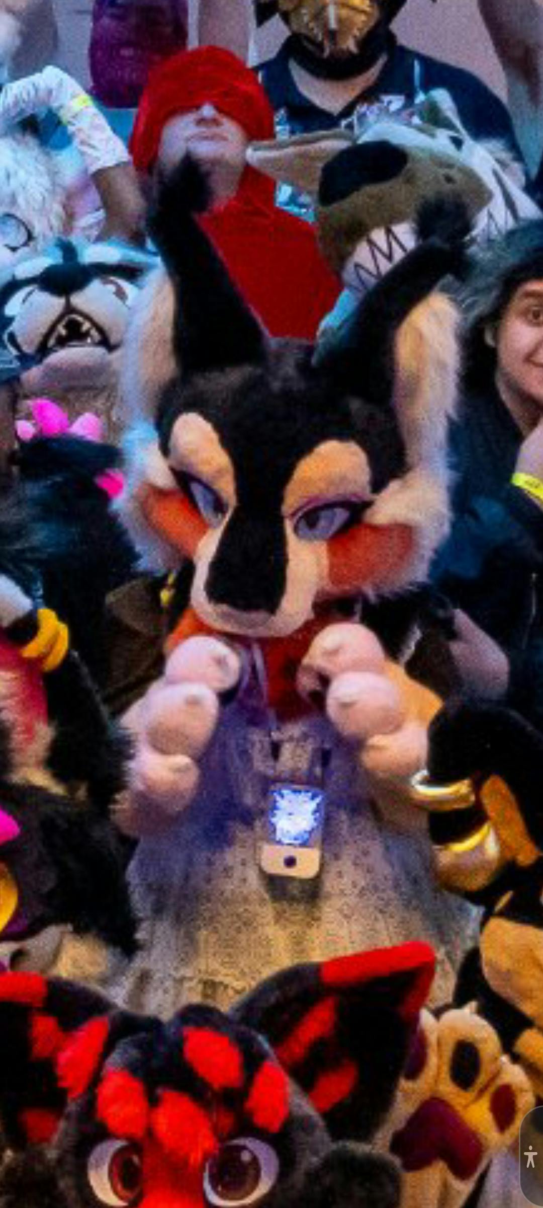 user avatar image for Allspice 