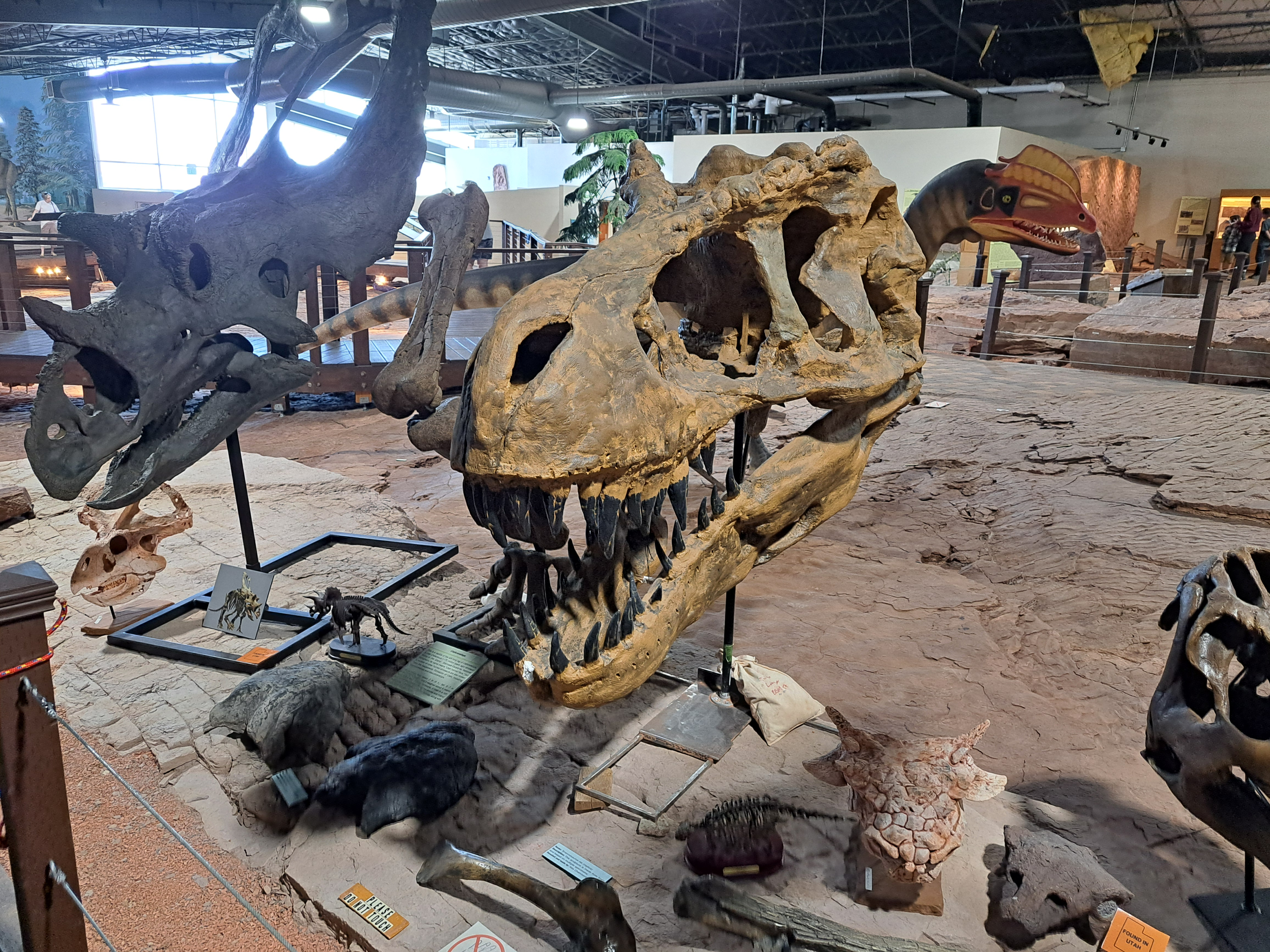 user avatar image for Bummy 