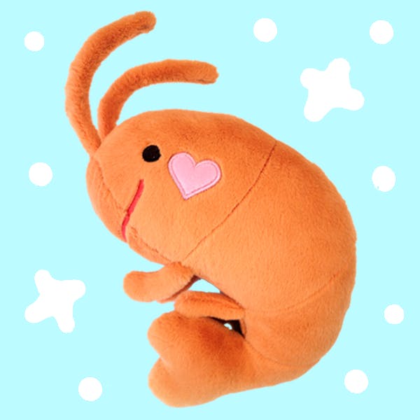 Big Shrimp Plush