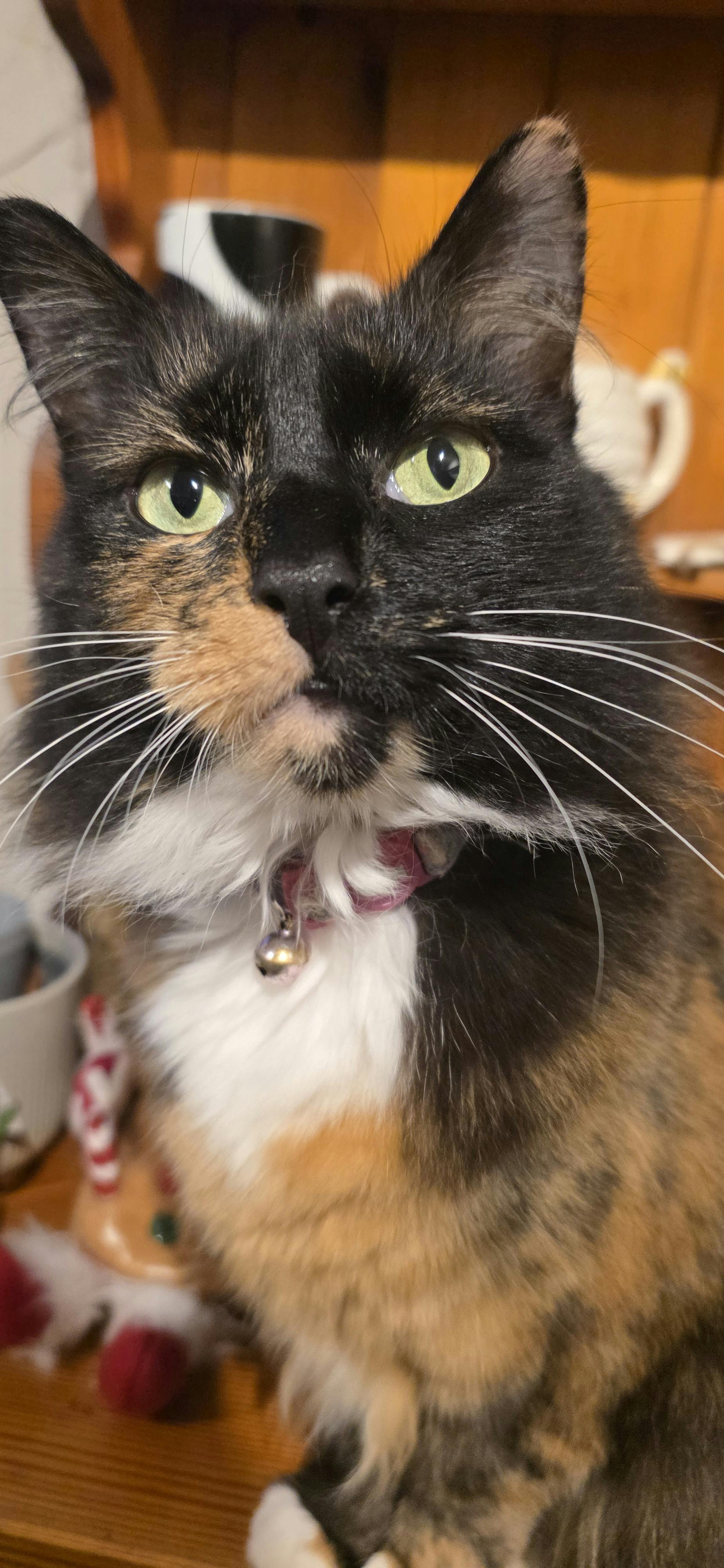 user avatar image for Hobbes199 