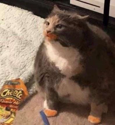 user avatar image for Northie