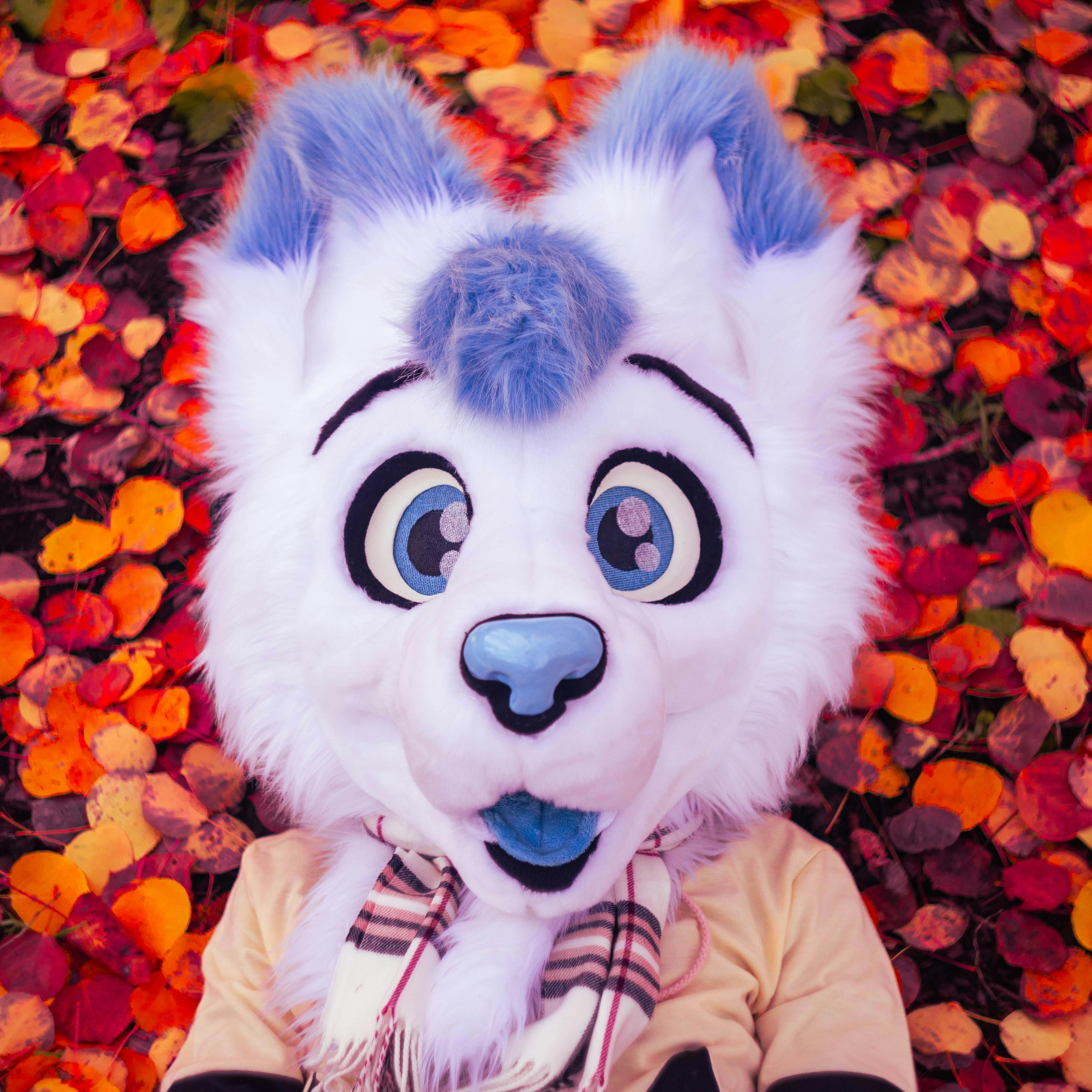 user avatar image for MaxTheWulf