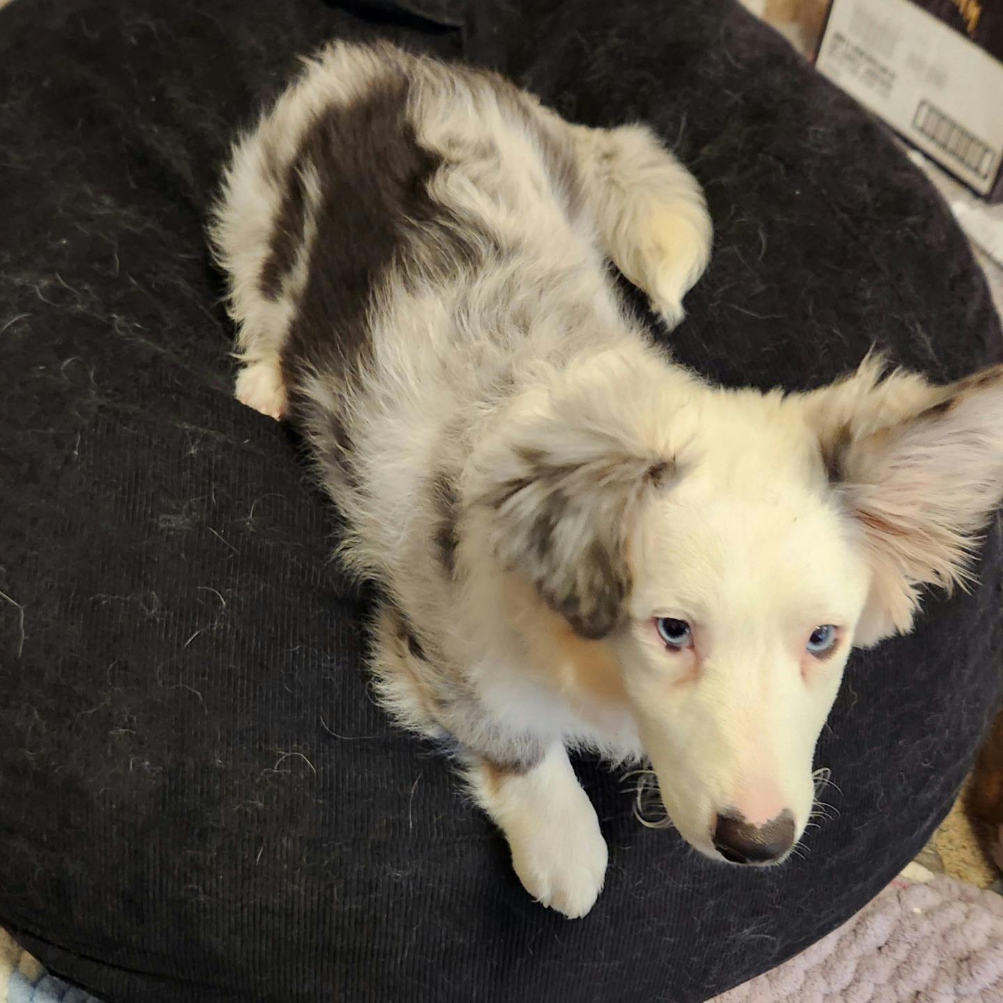 user avatar image for Ashley Hemsath