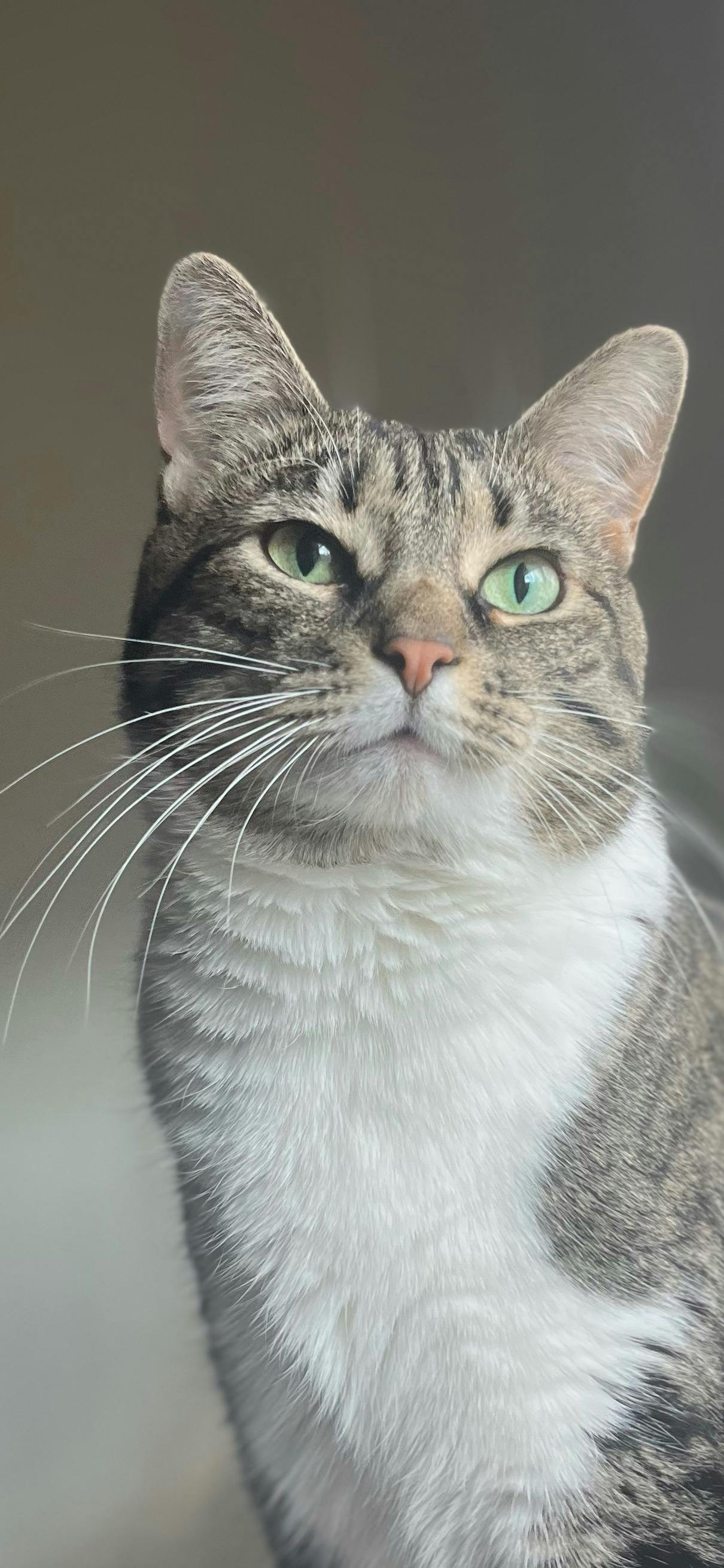 user avatar image for Daphne