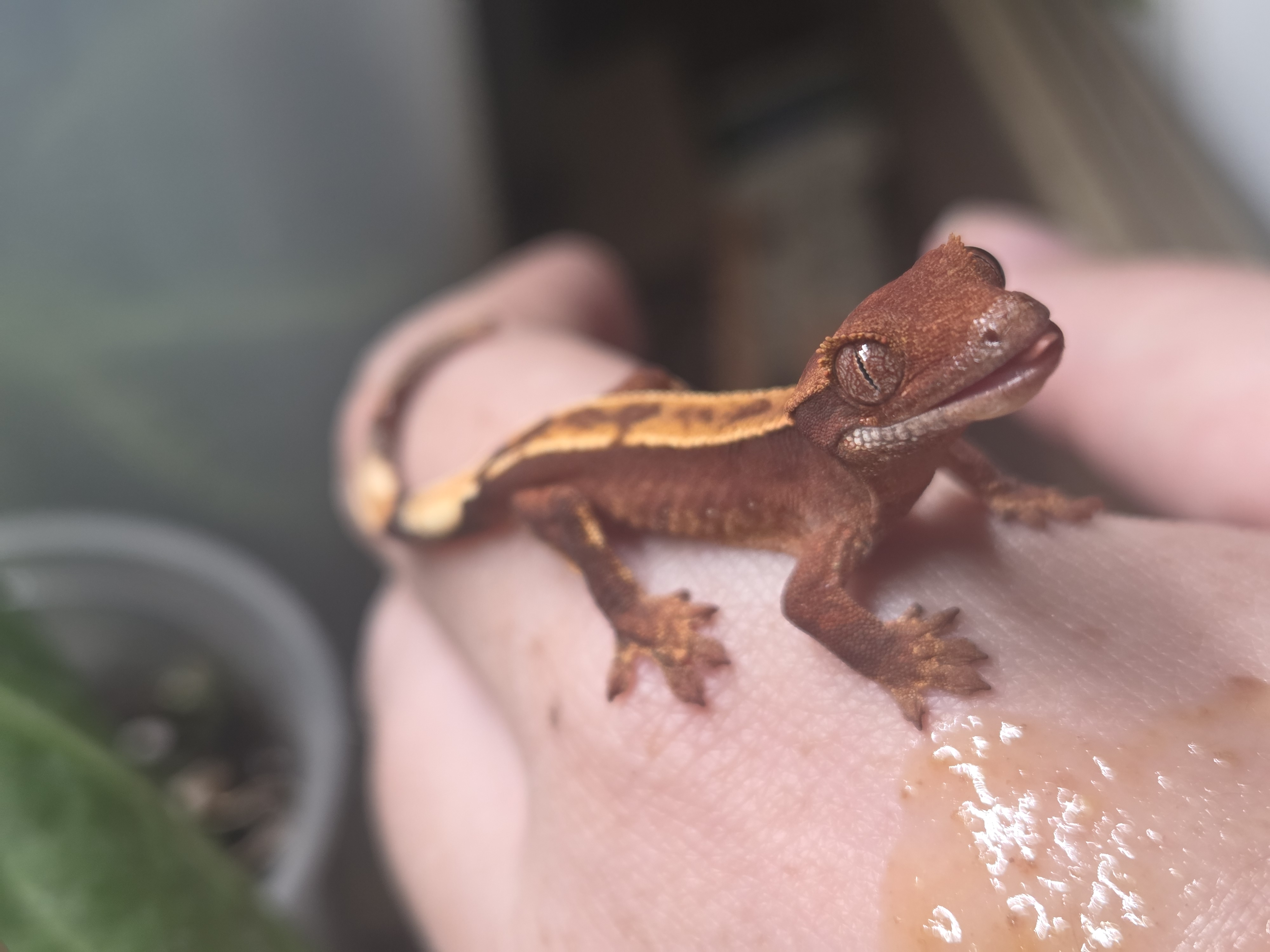 user avatar image for Steph