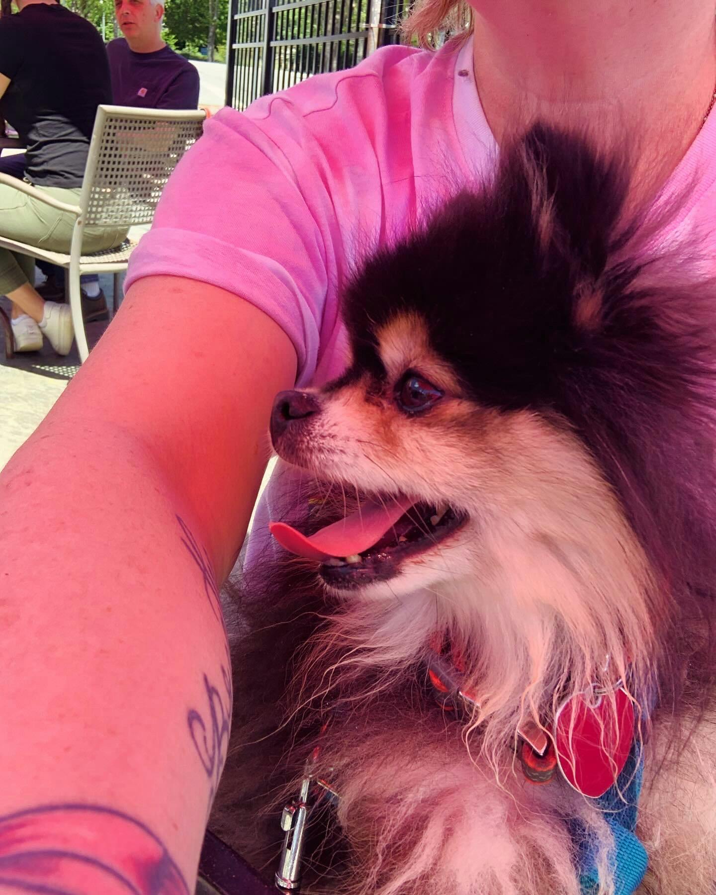 user avatar image for Gaea