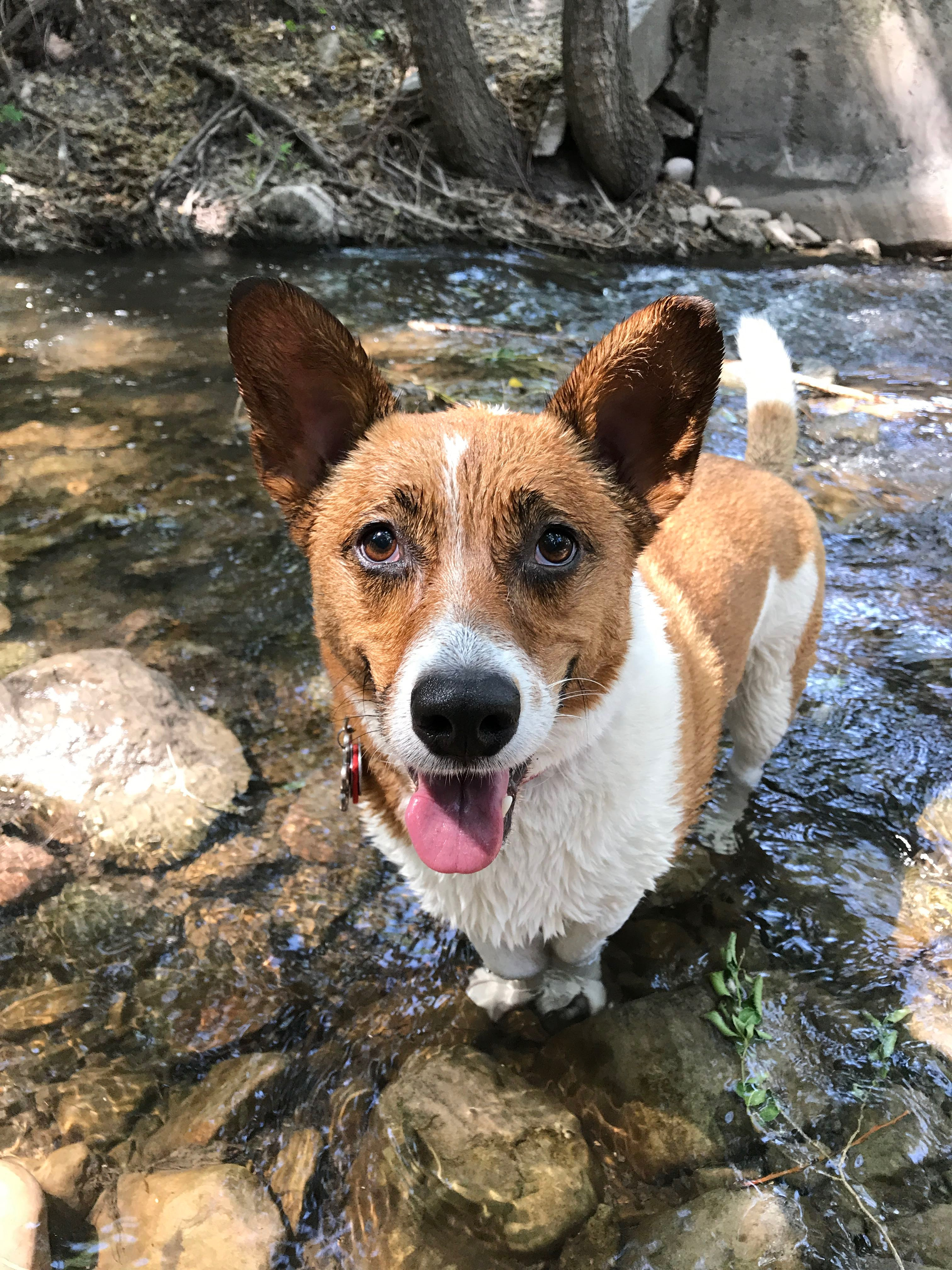 user avatar image for A. Smith