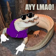 user avatar image for Alex Northouse