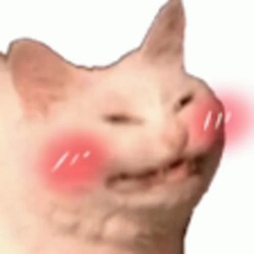 user avatar image for beesucculent