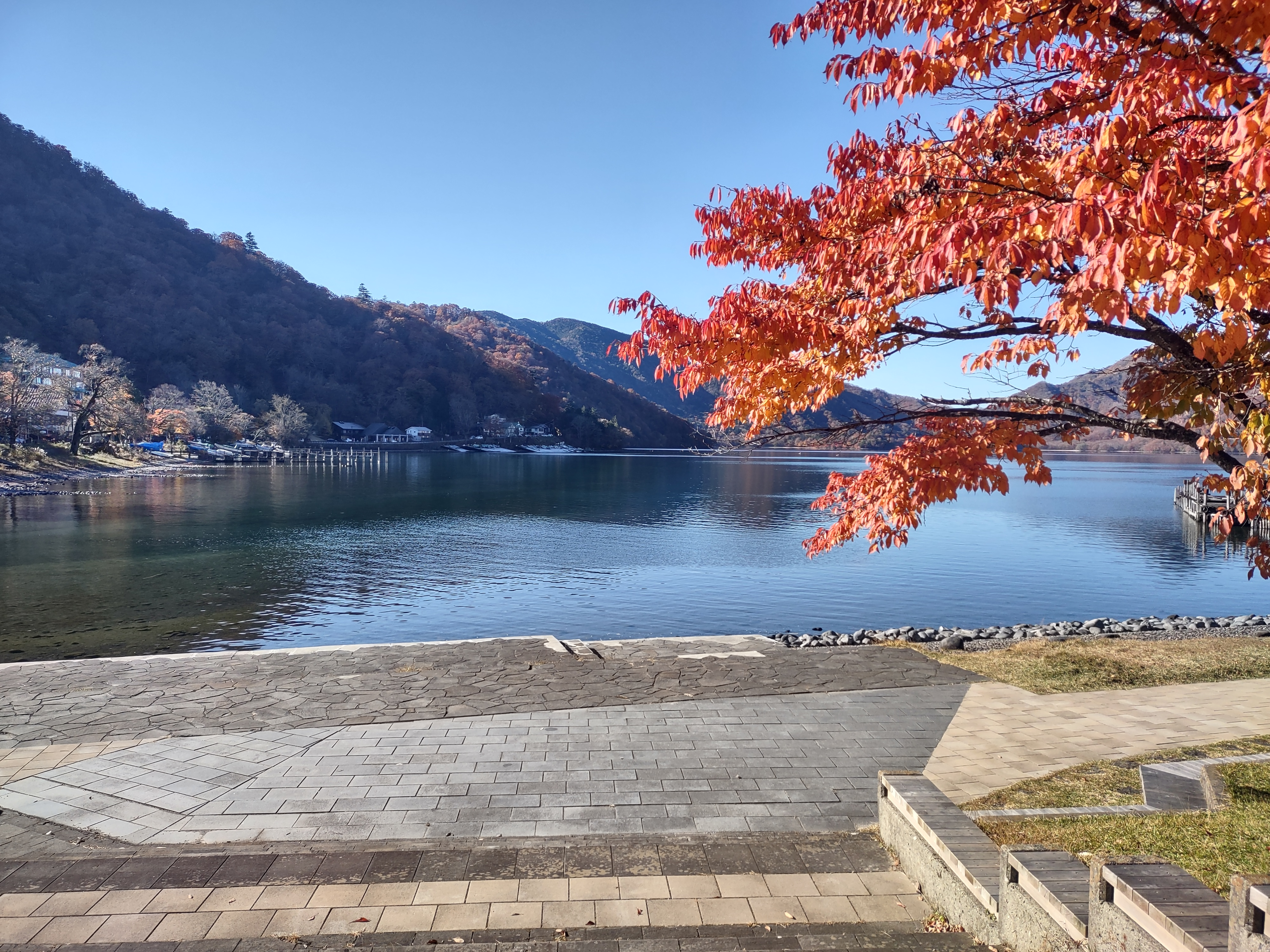 user avatar image for Al Bi