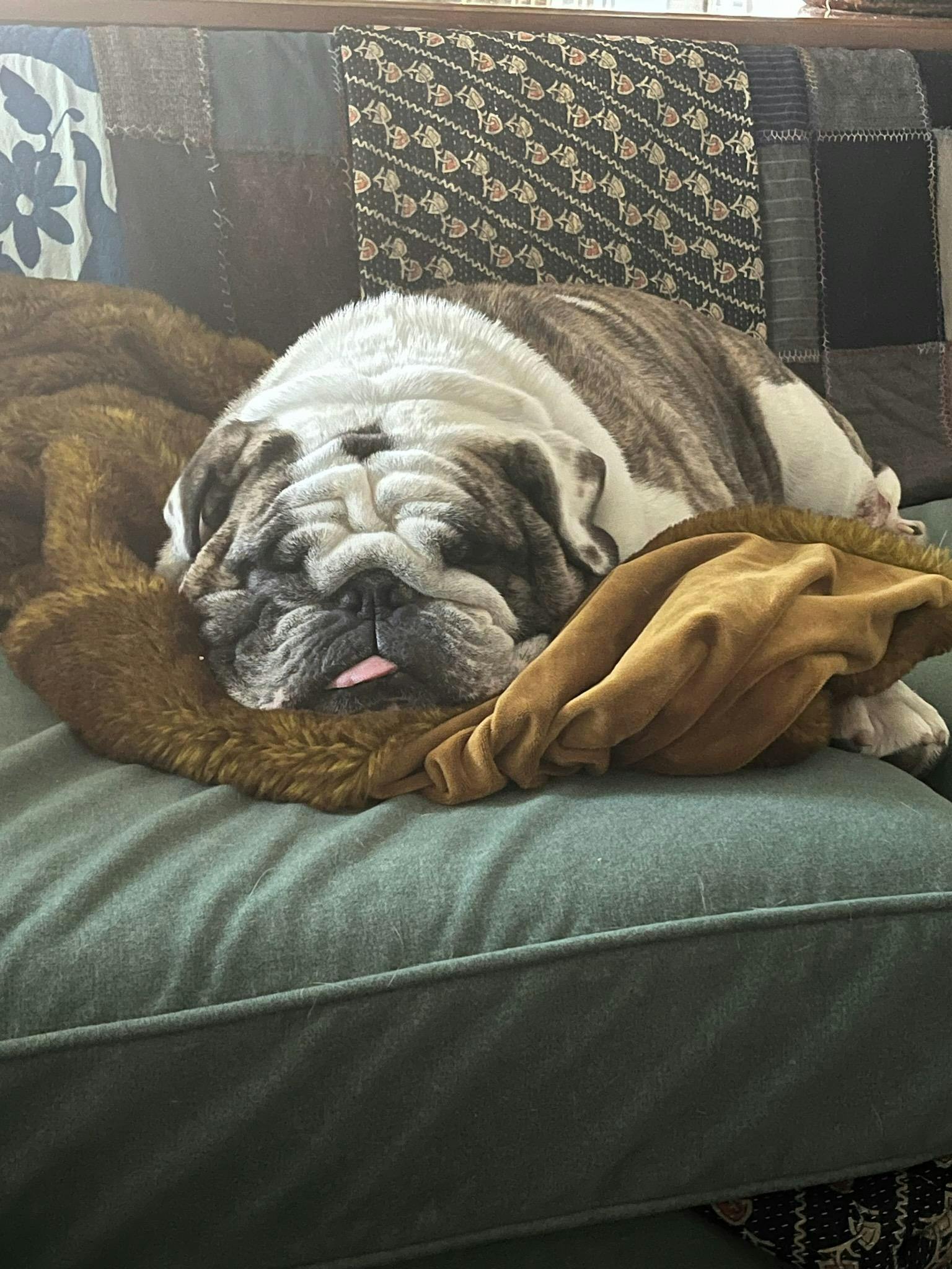 user avatar image for Casey Schreiner