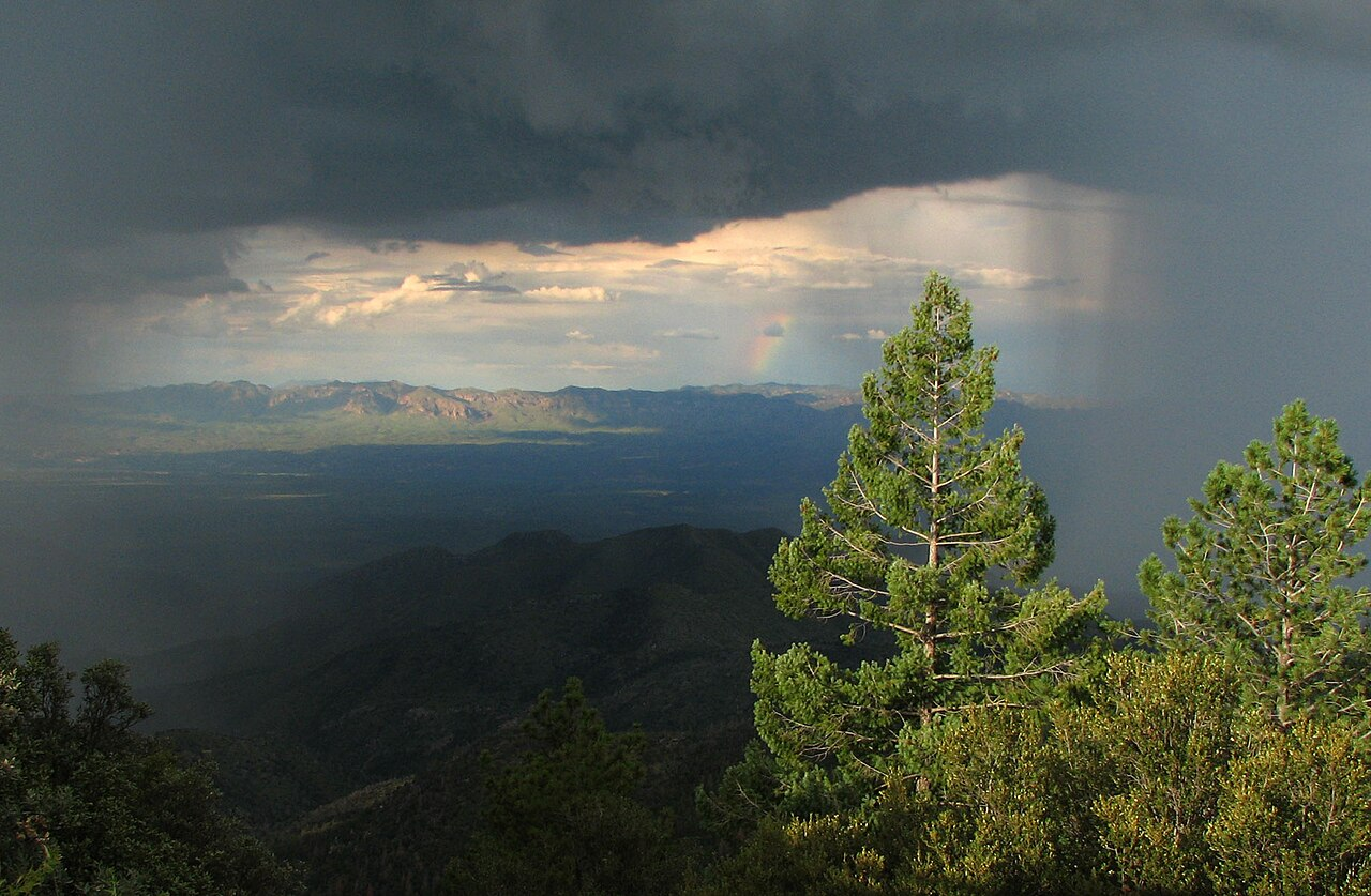 user avatar image for Rain