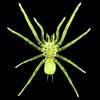 user avatar image for Rogue Spider