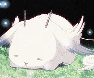 user avatar image for Schuyler Fox