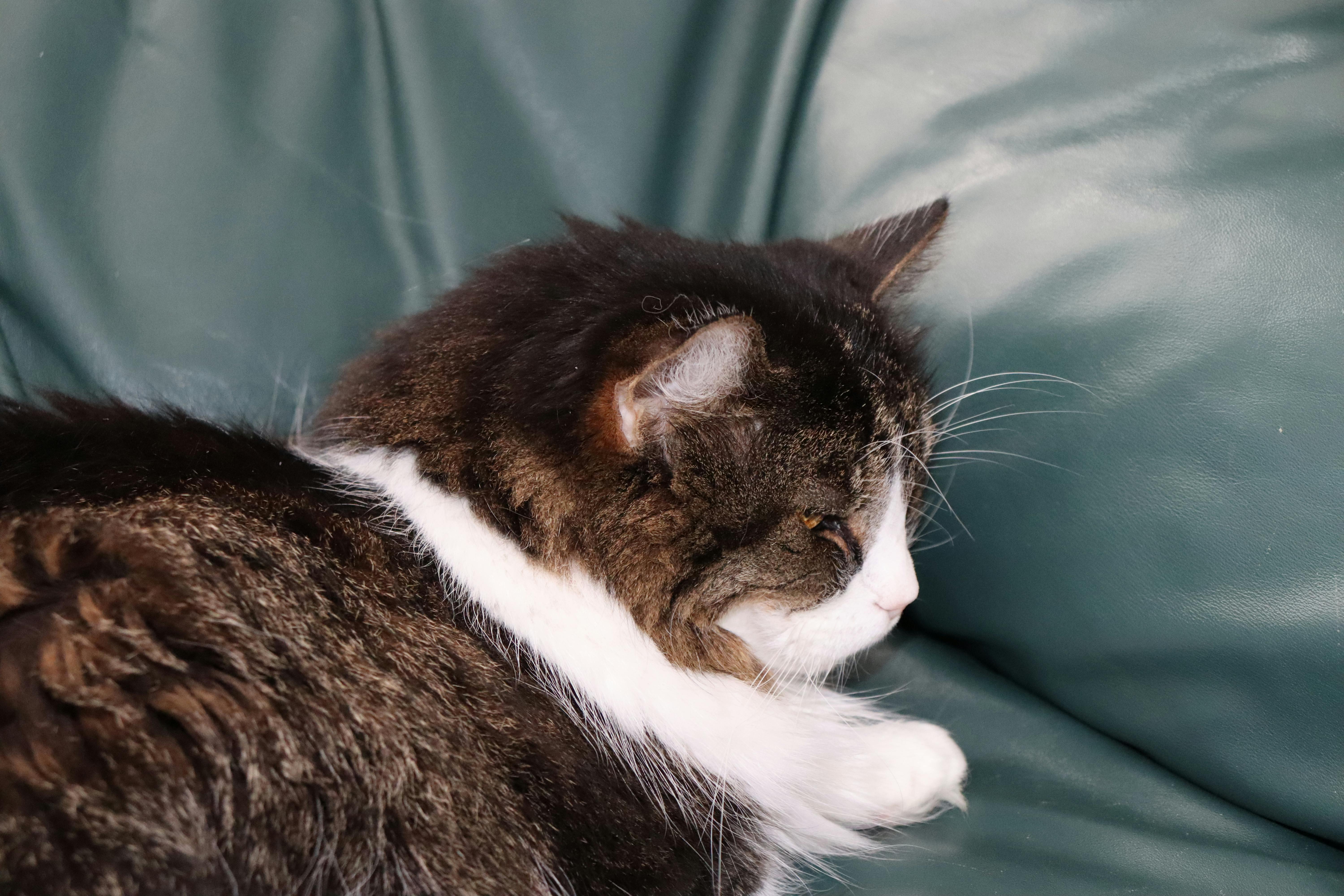 user avatar image for Ash