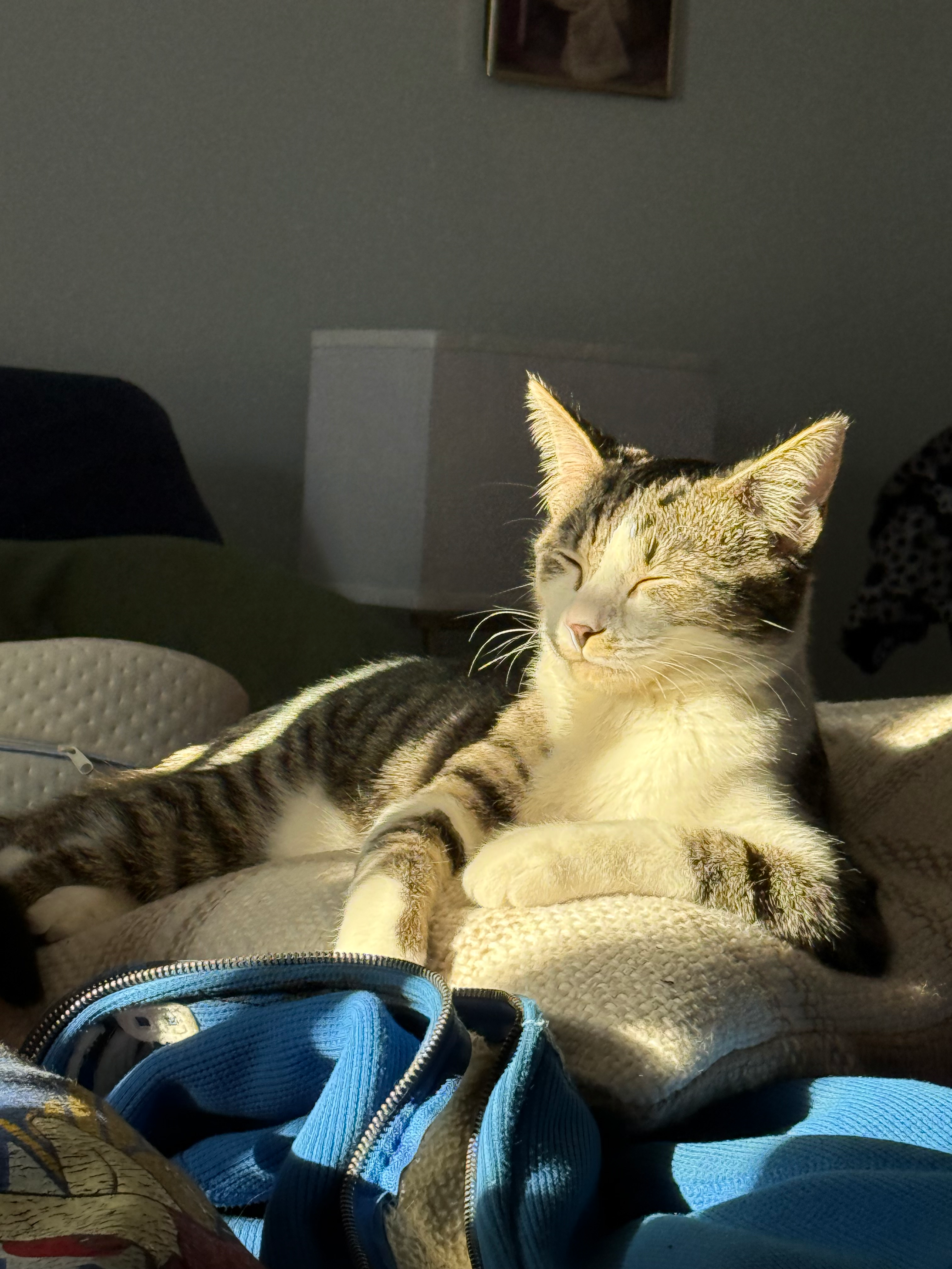 user avatar image for Claudia