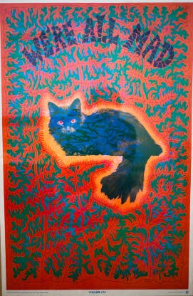 user avatar image for darthopper