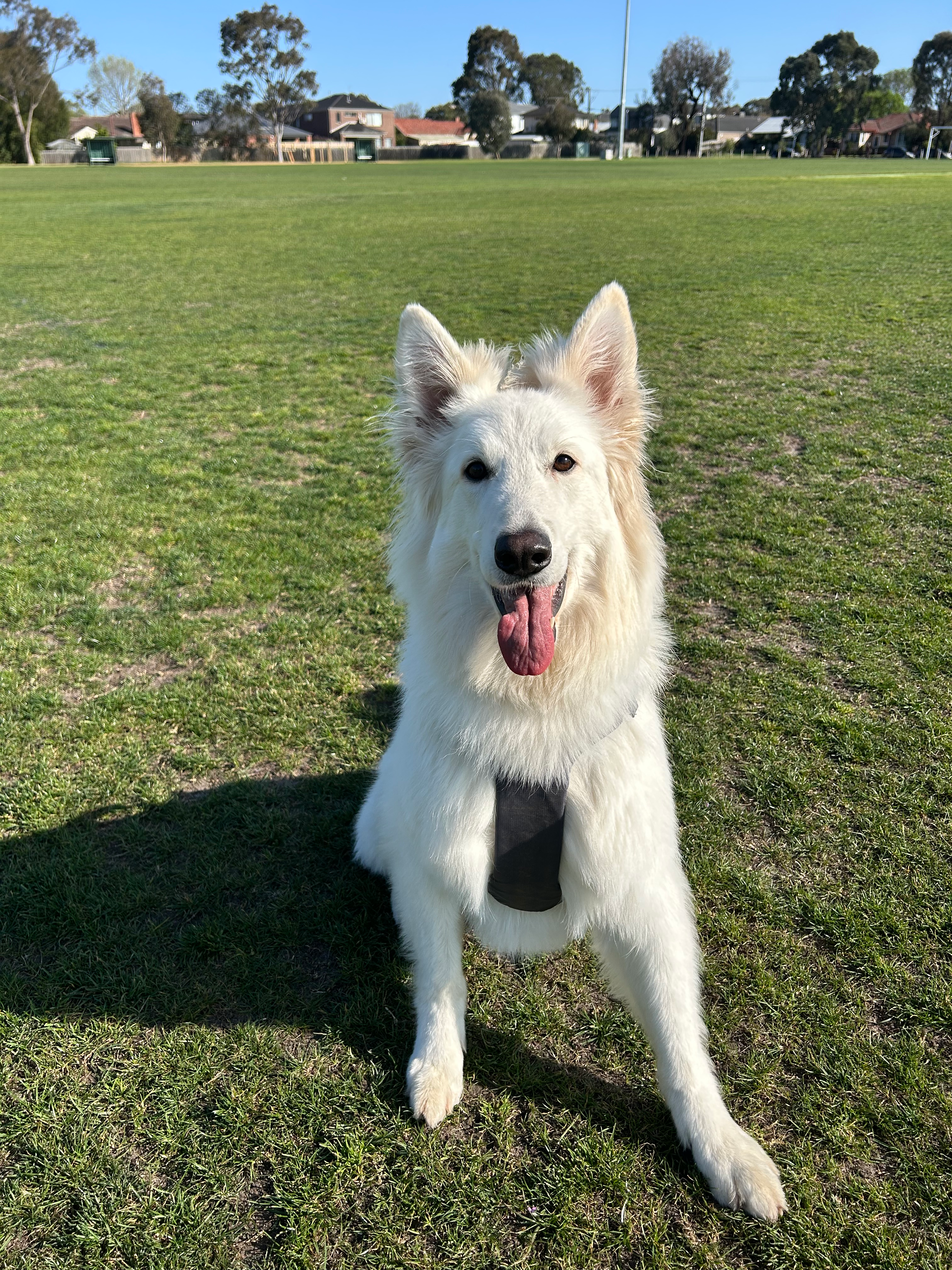 user avatar image for Fazz 