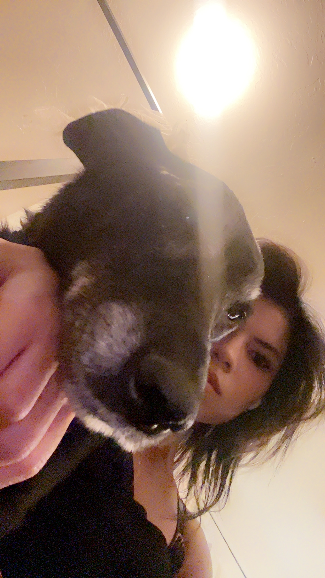 user avatar image for Chantel Stilley