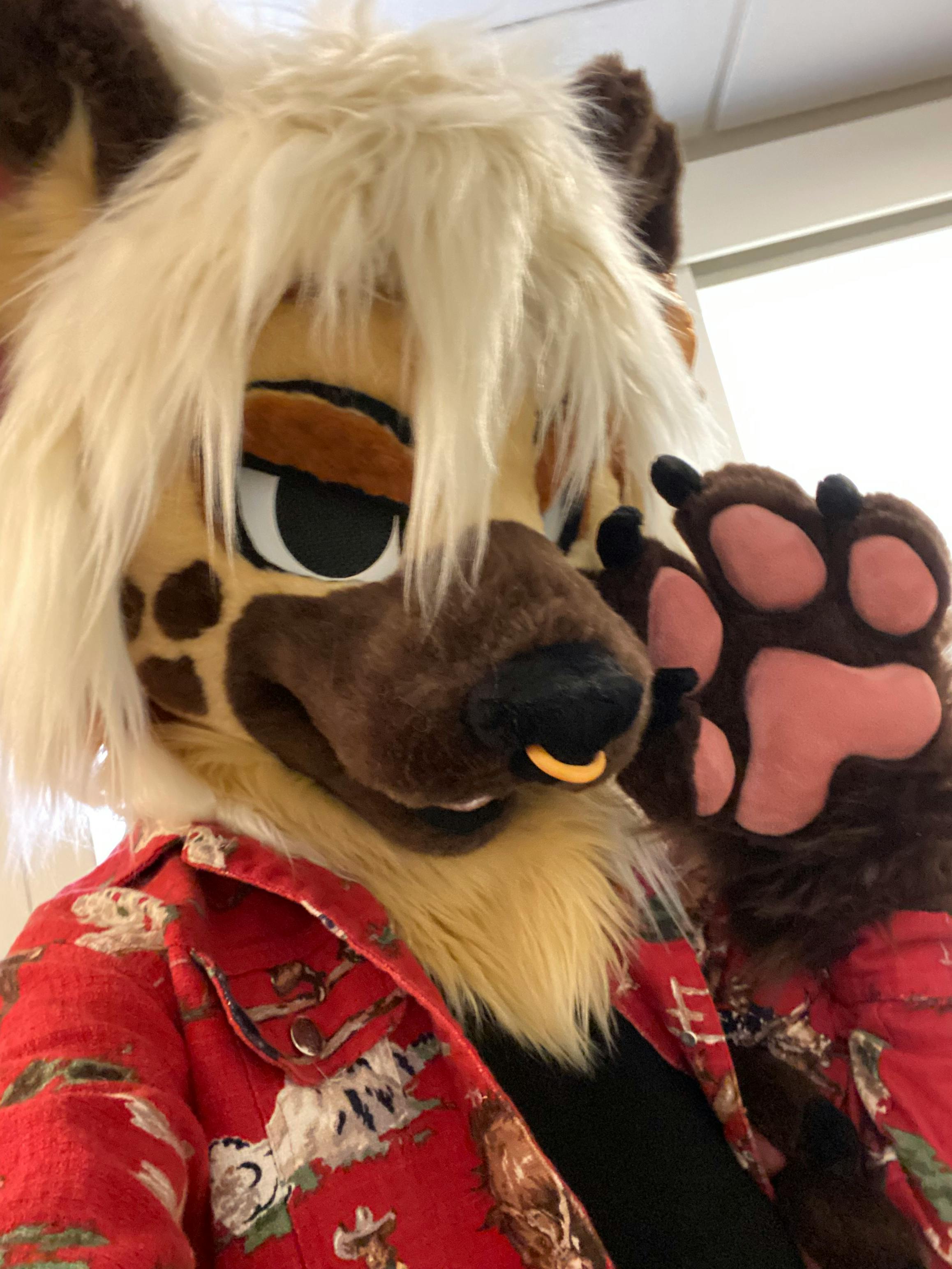 user avatar image for Mothsprout