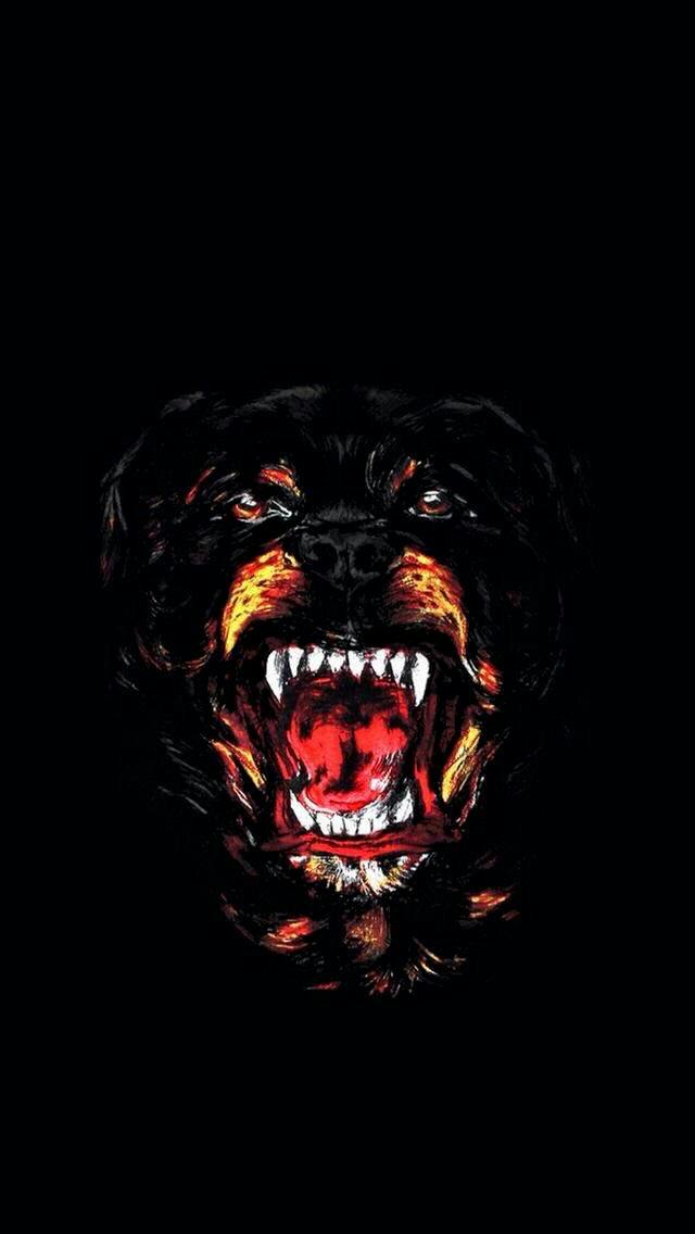 user avatar image for jacopogf