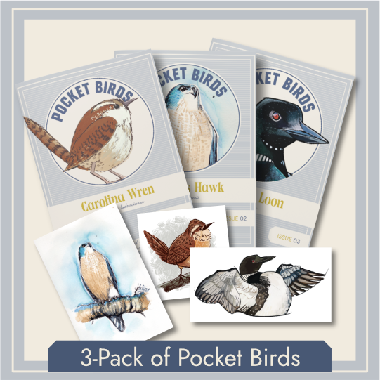 3-Pack of Pocket Birds