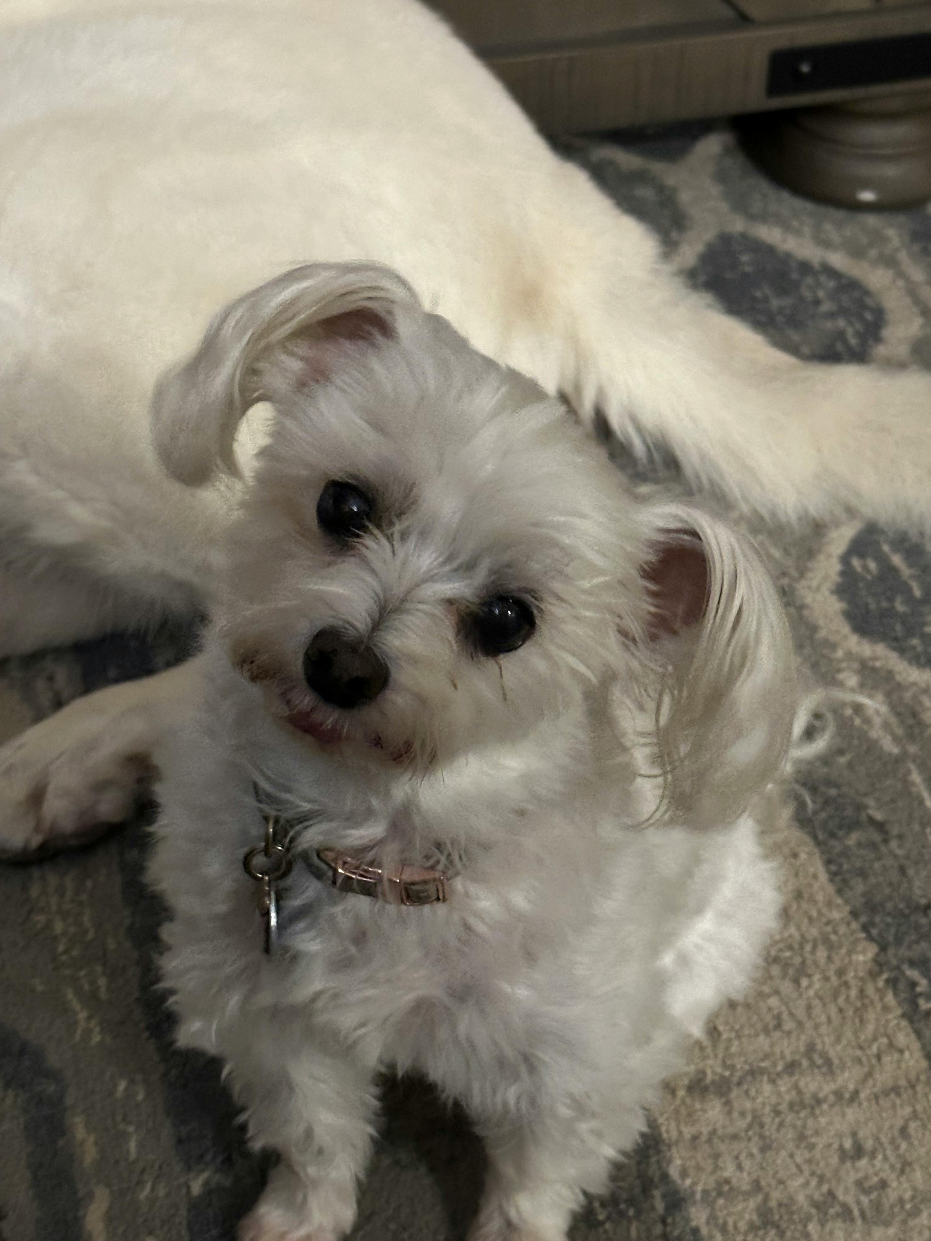 user avatar image for JD "Firefly"