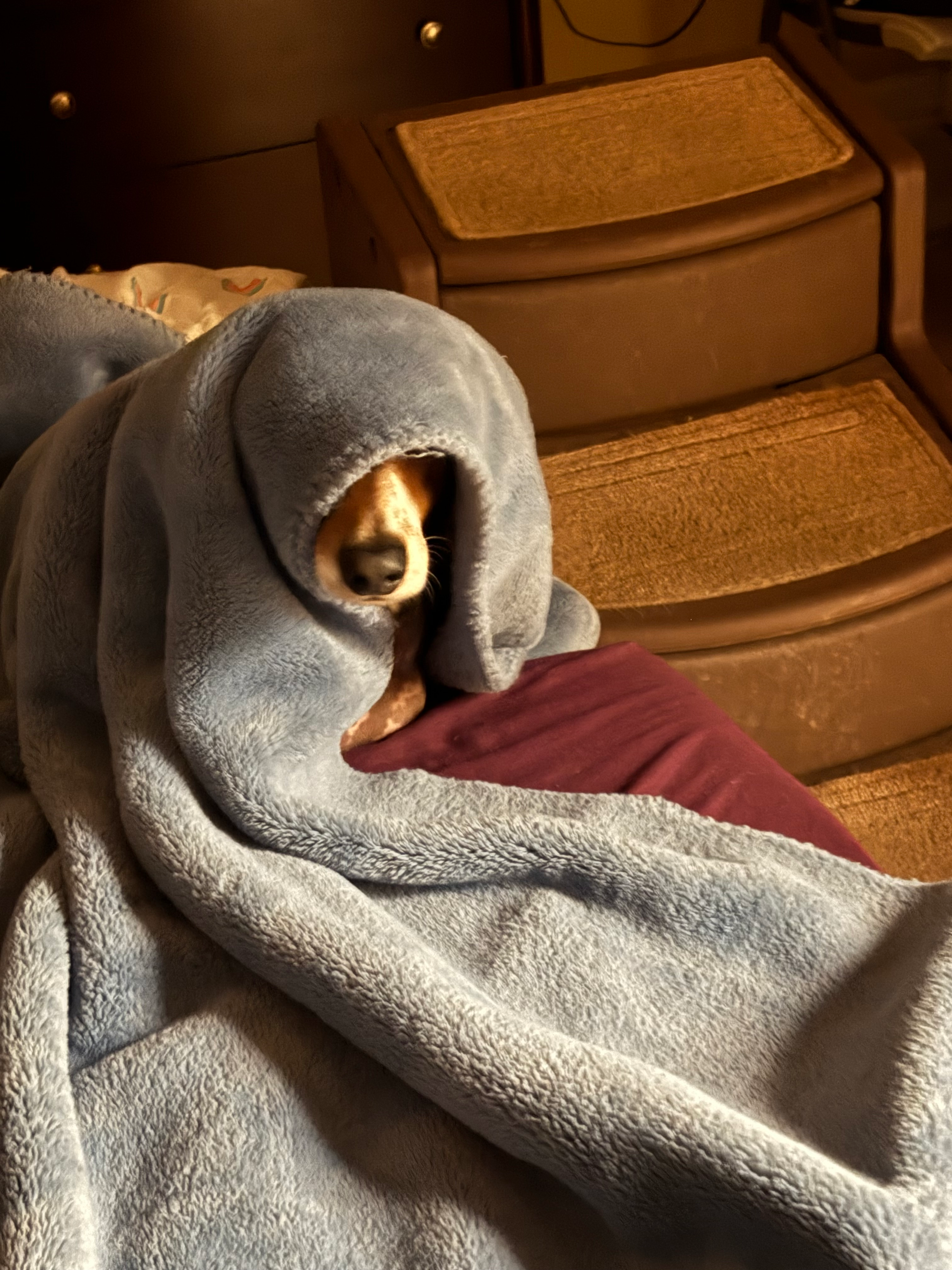 user avatar image for Yuquiyu