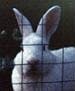 user avatar image for Jamas Enright