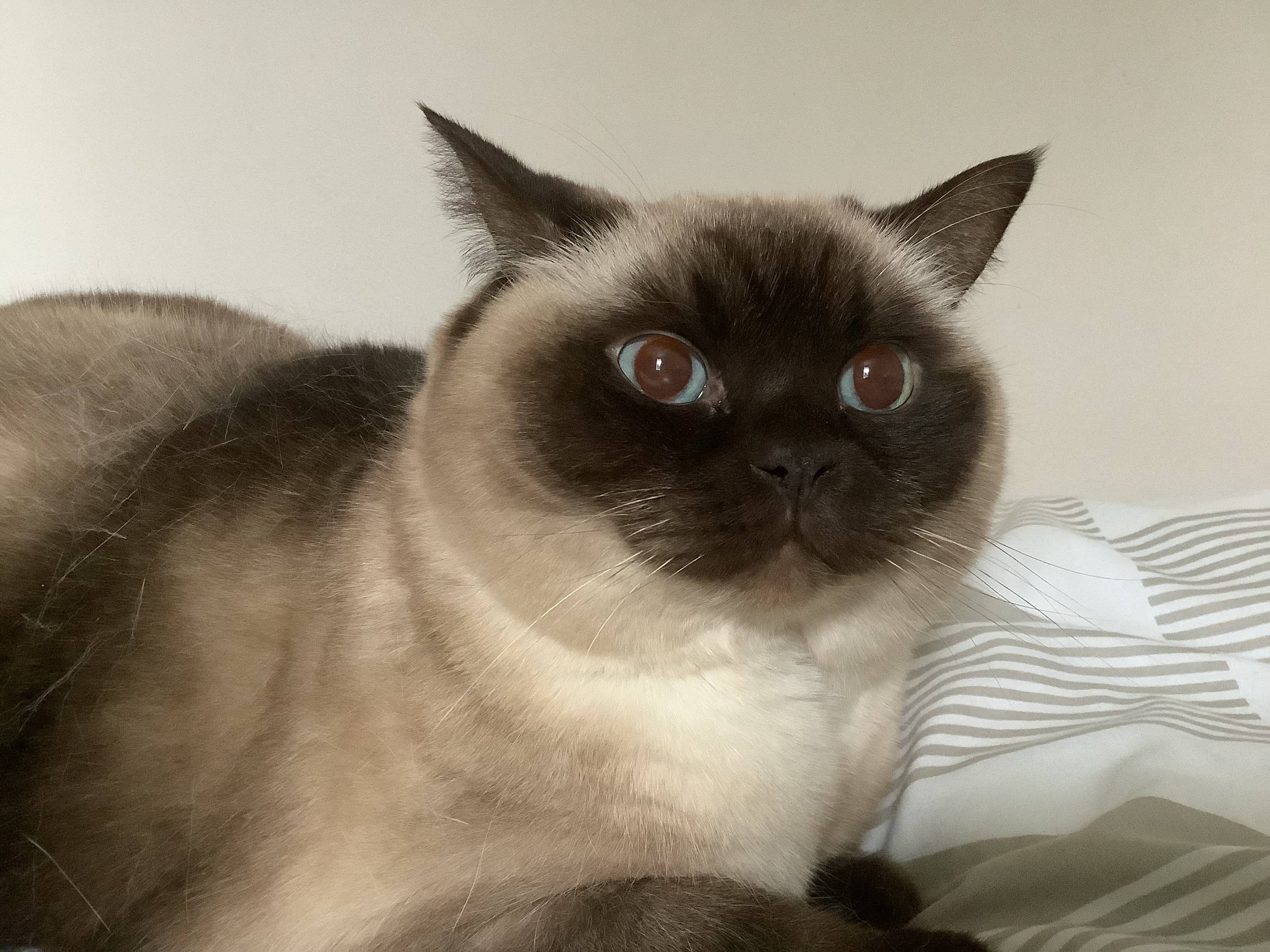 user avatar image for Alec Reuben