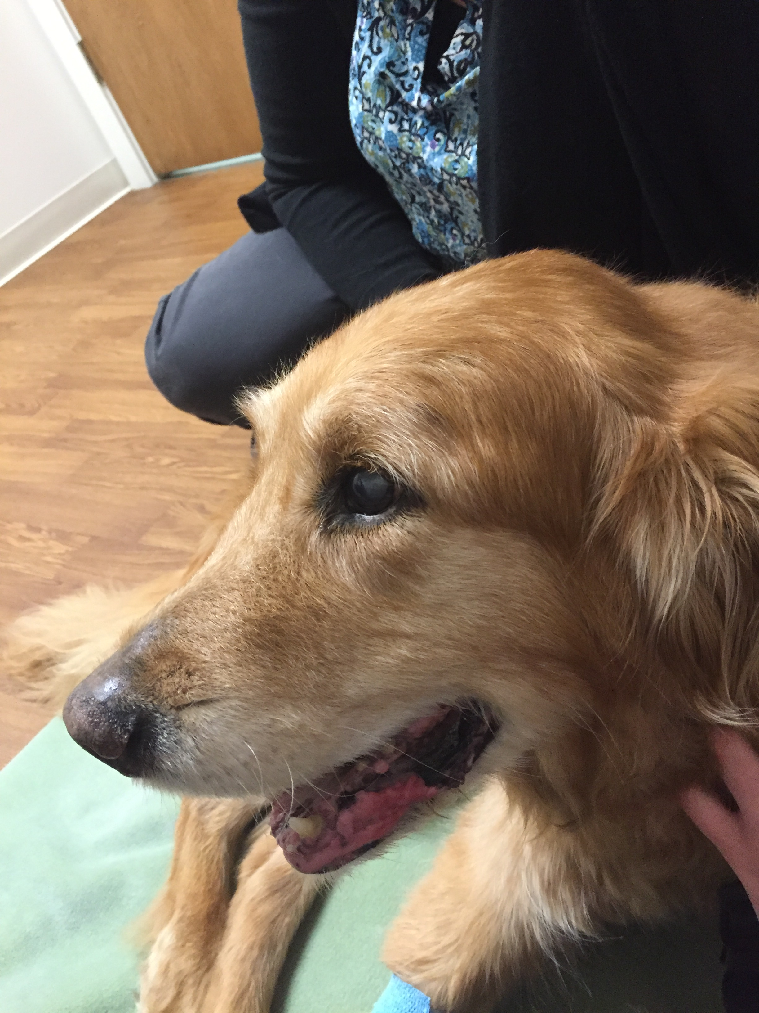 user avatar image for Meagan Pothoven