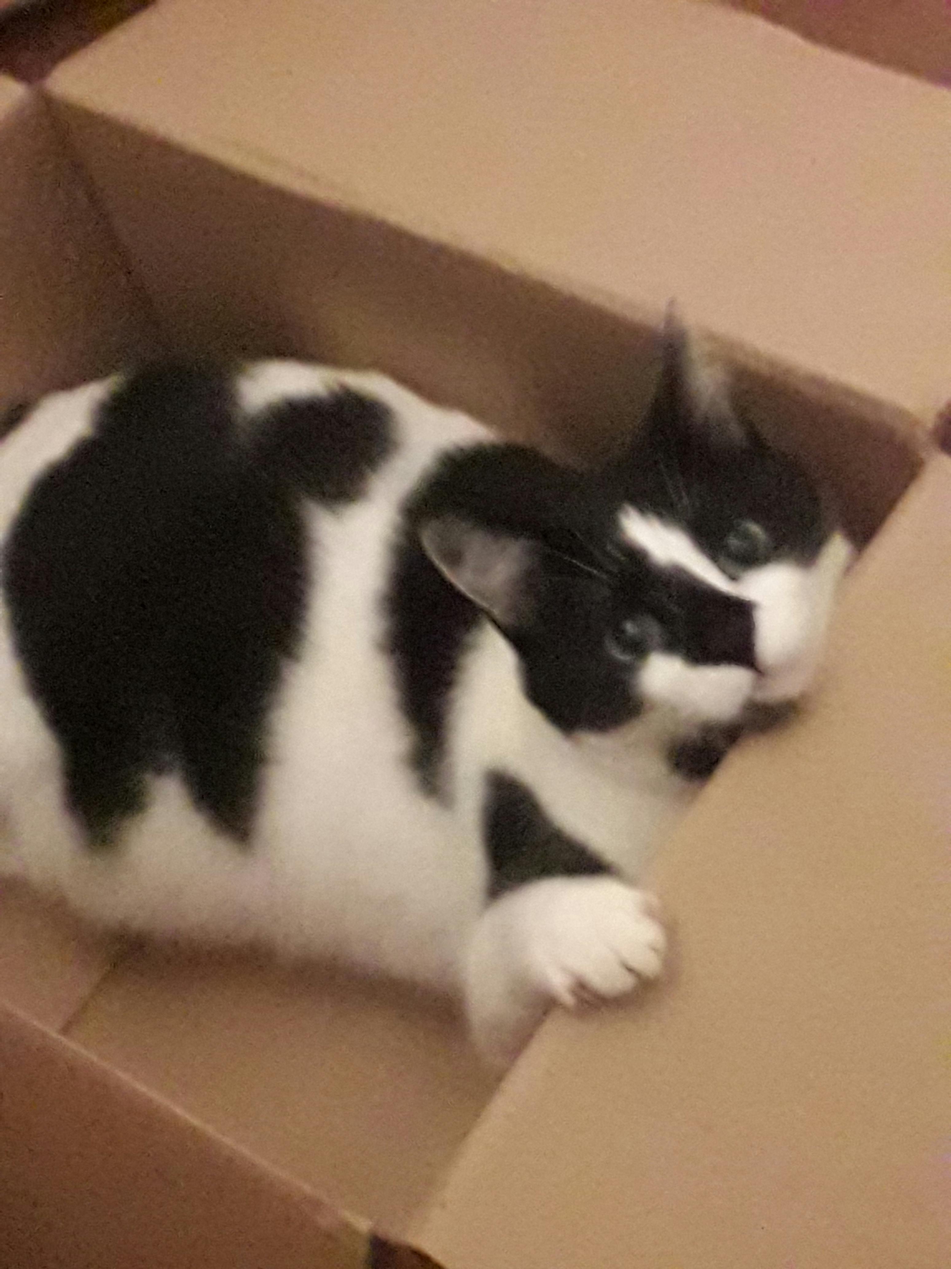 user avatar image for Marine Lesne