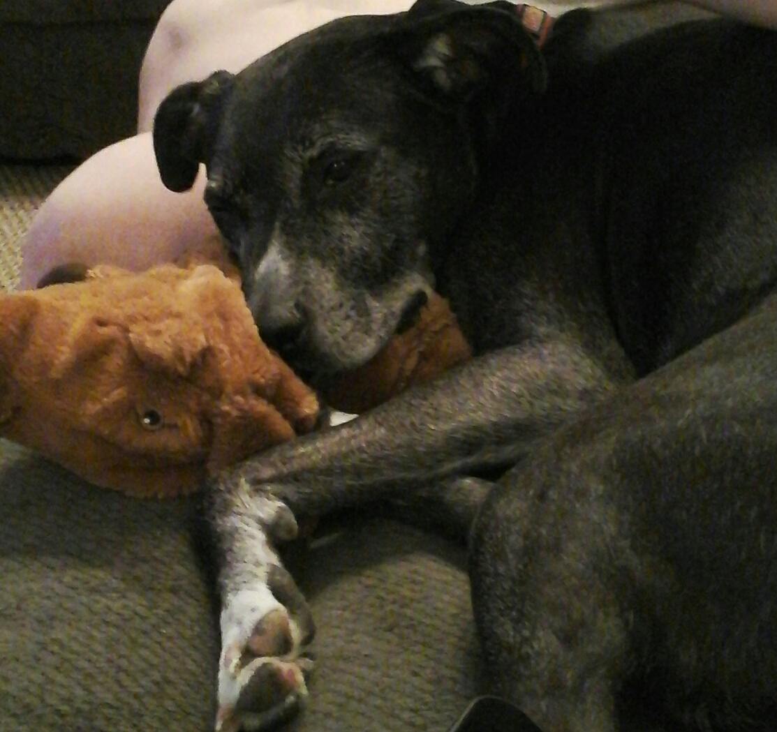 user avatar image for MableAF