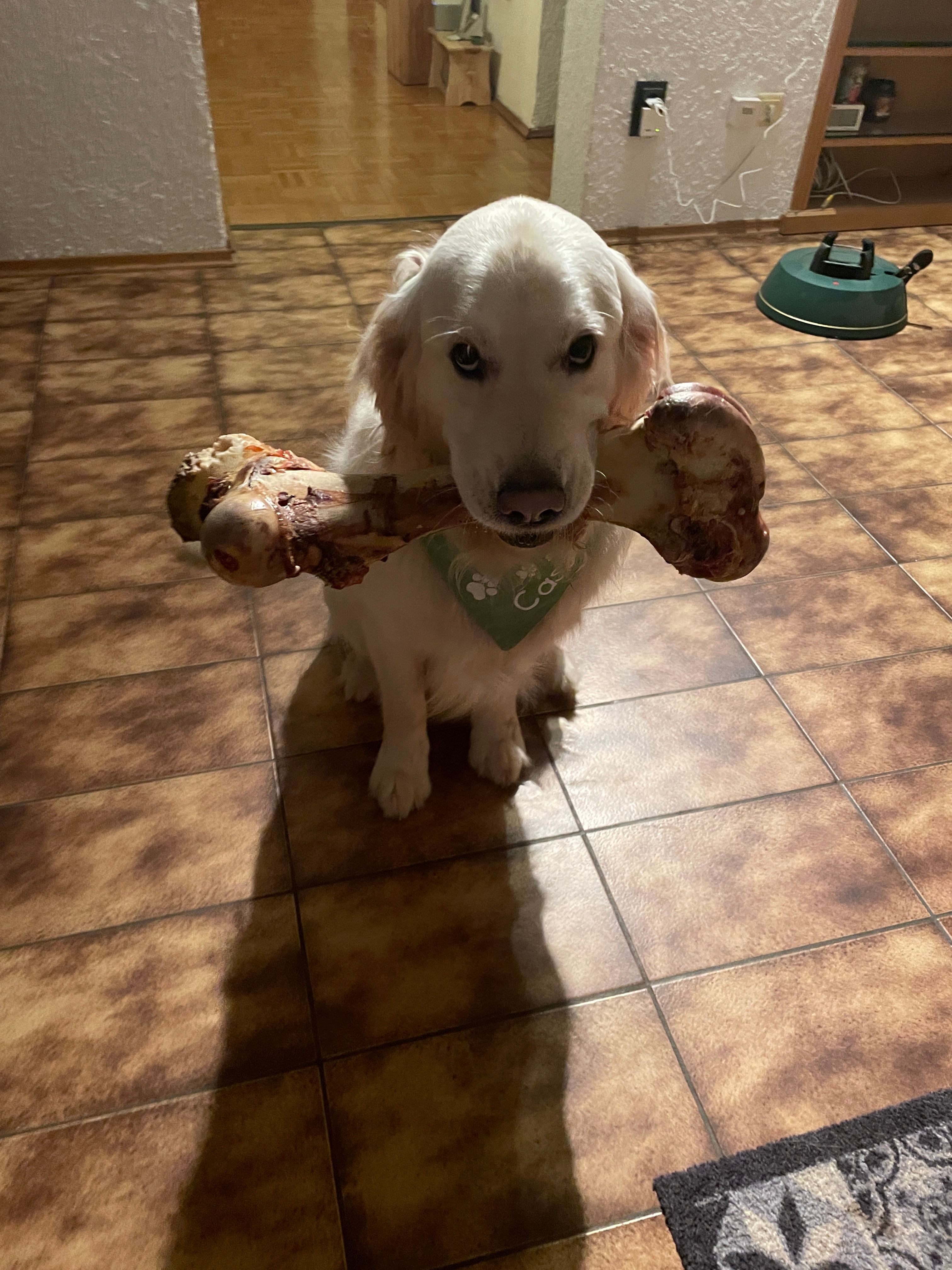 user avatar image for Tightpear