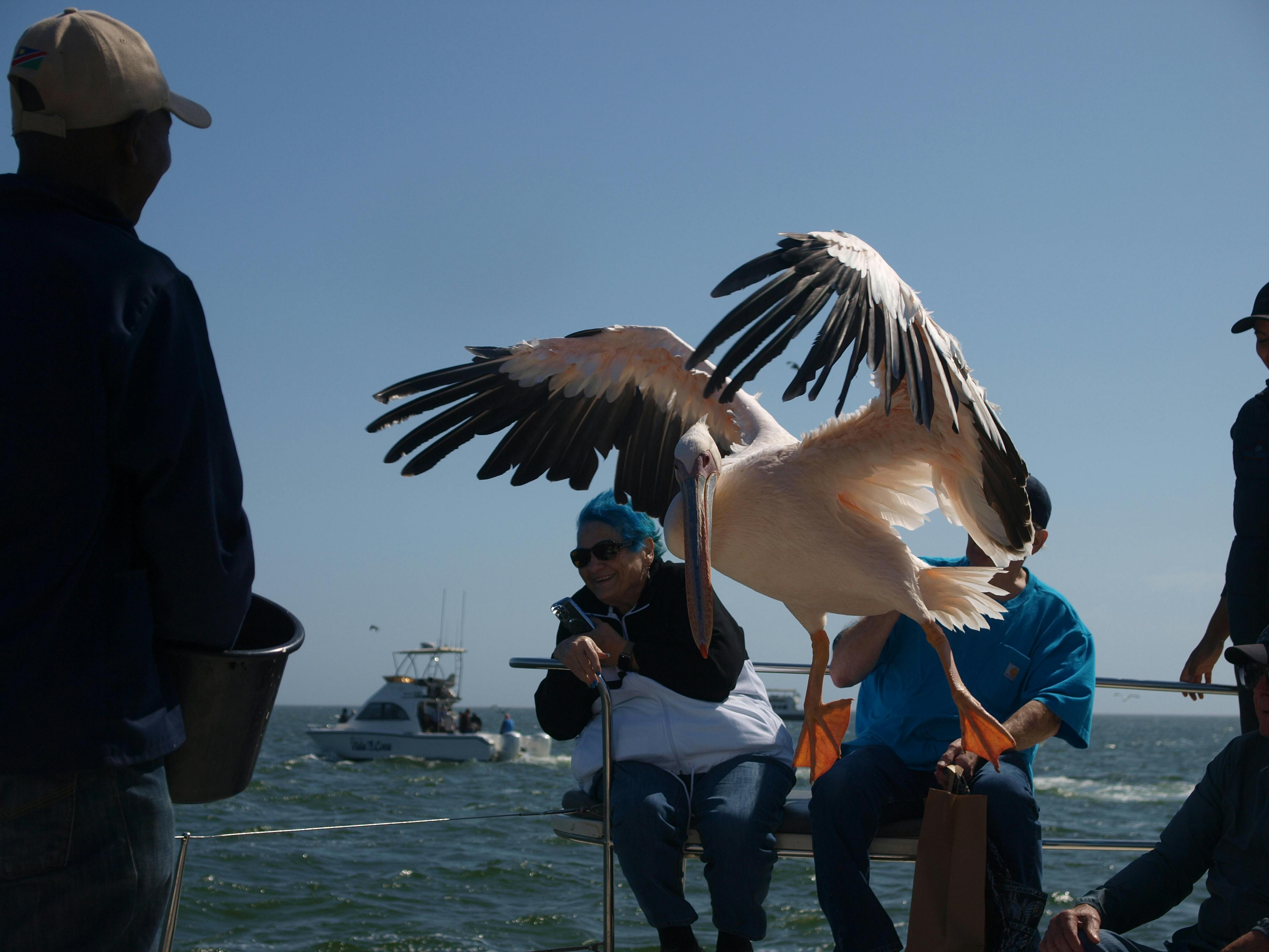 user avatar image for Cheryl Ruckel